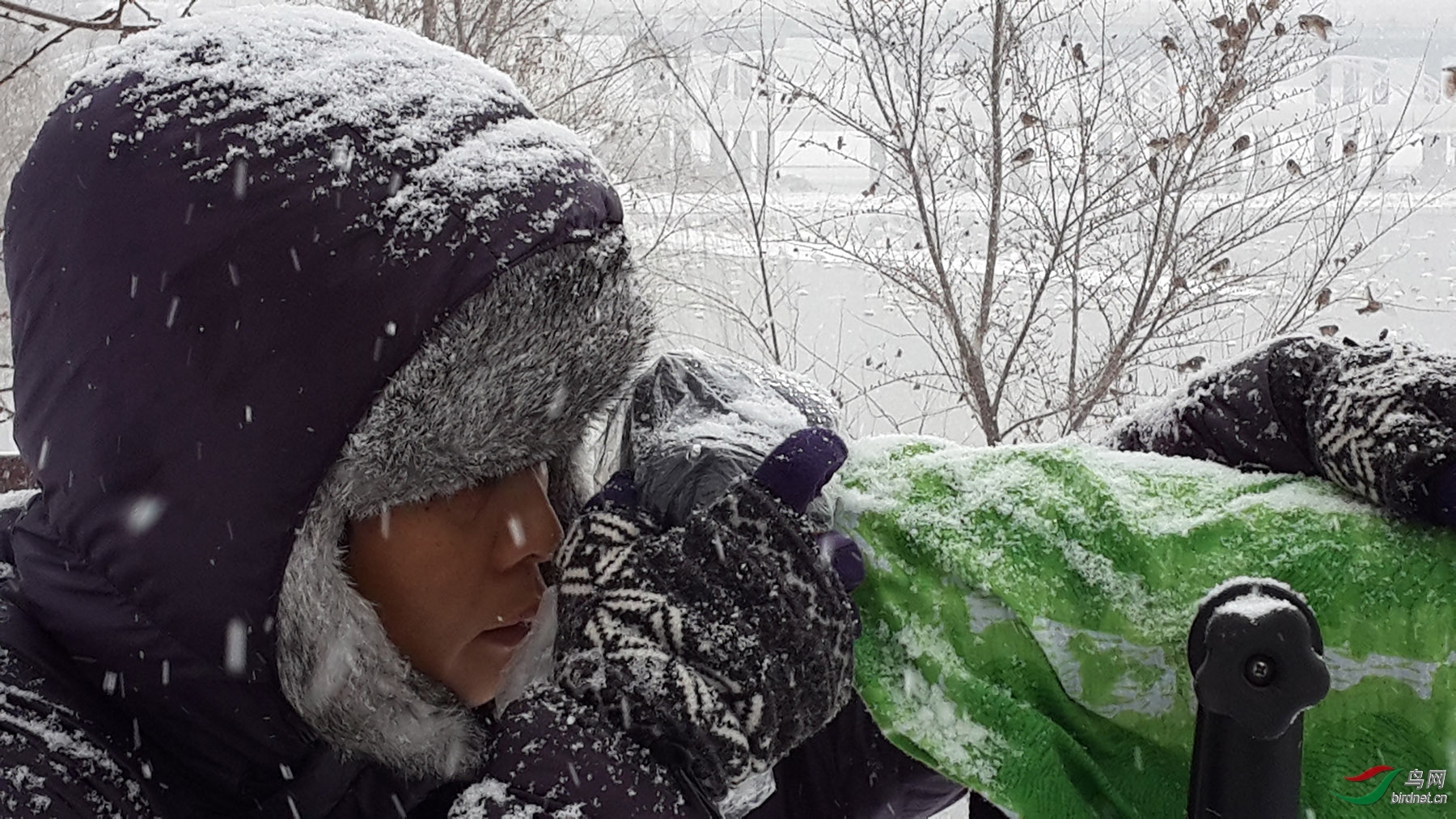 С���� ����.jpg