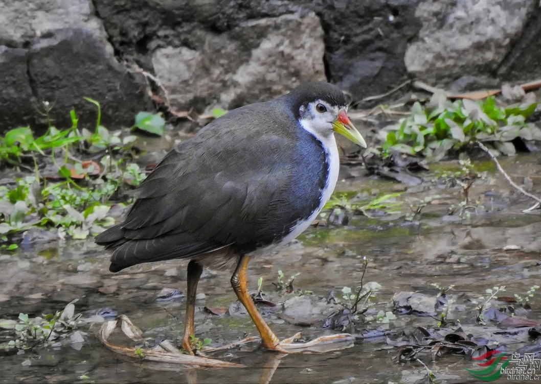 210737ky43a3kkiin4ray0 ����.jpg