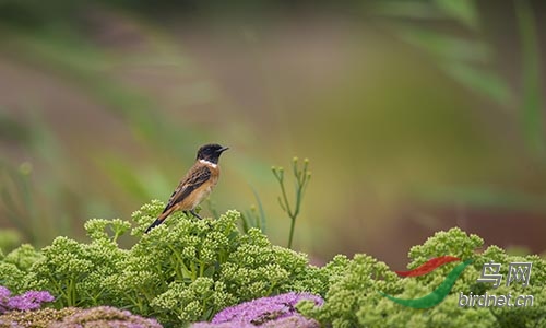 AM3T9644.jpg