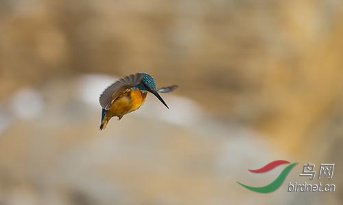 ET2W0905.jpg