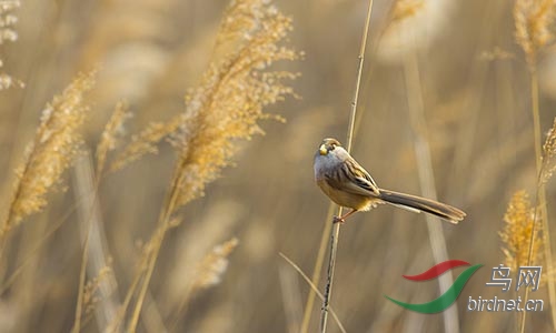 AM3T1360.jpg