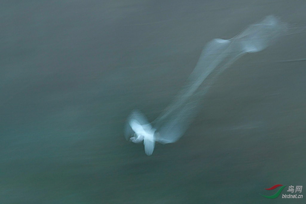 DSC_4898.jpg