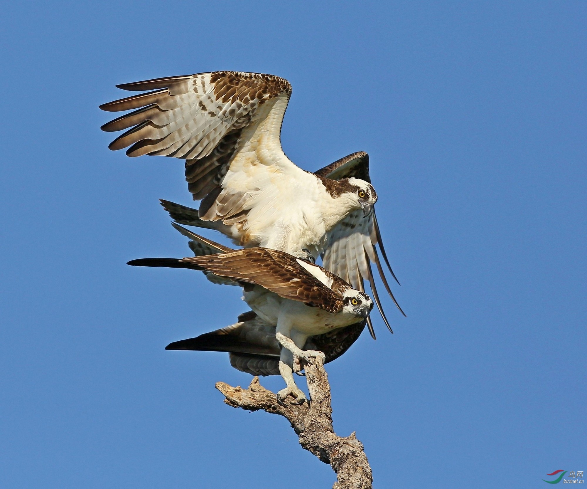 li20190108 (114).jpg