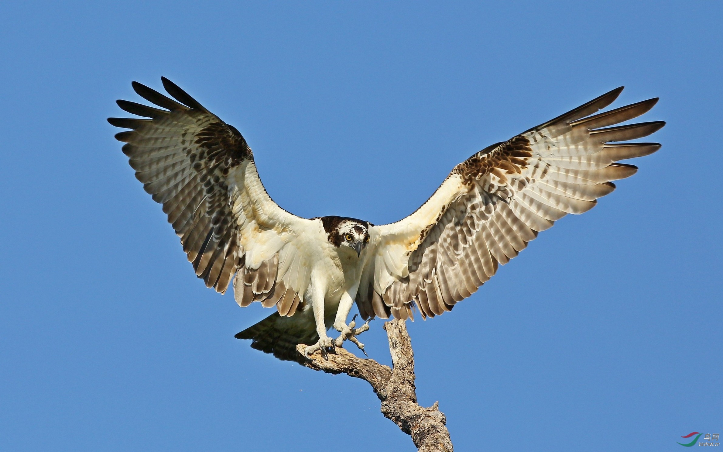 li20190108 (182).jpg