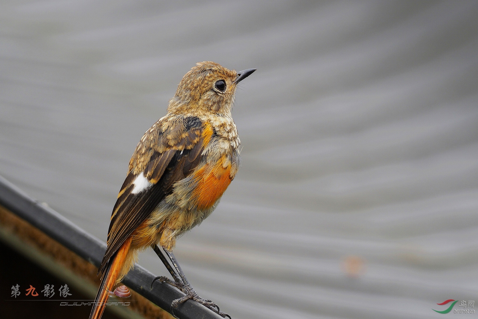 E-M1 MK2170713_298-4..jpg