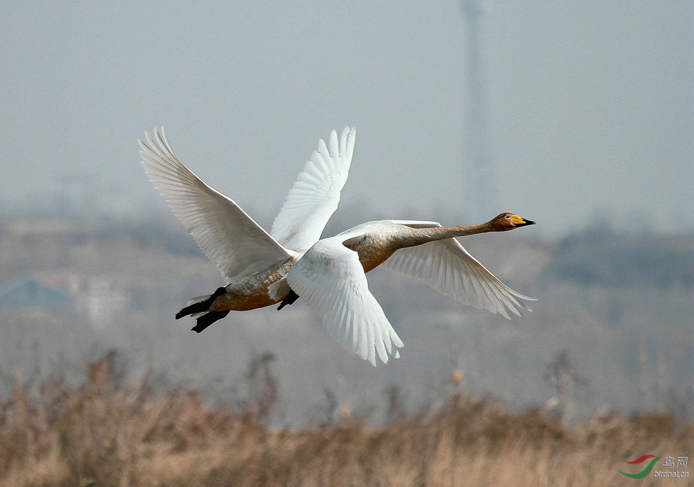 ���  2010 ��β���.jpg