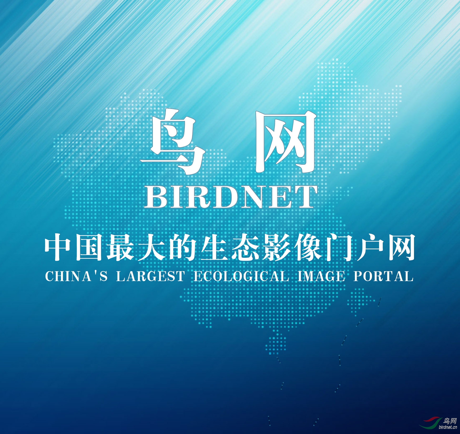 �������� (2).jpg