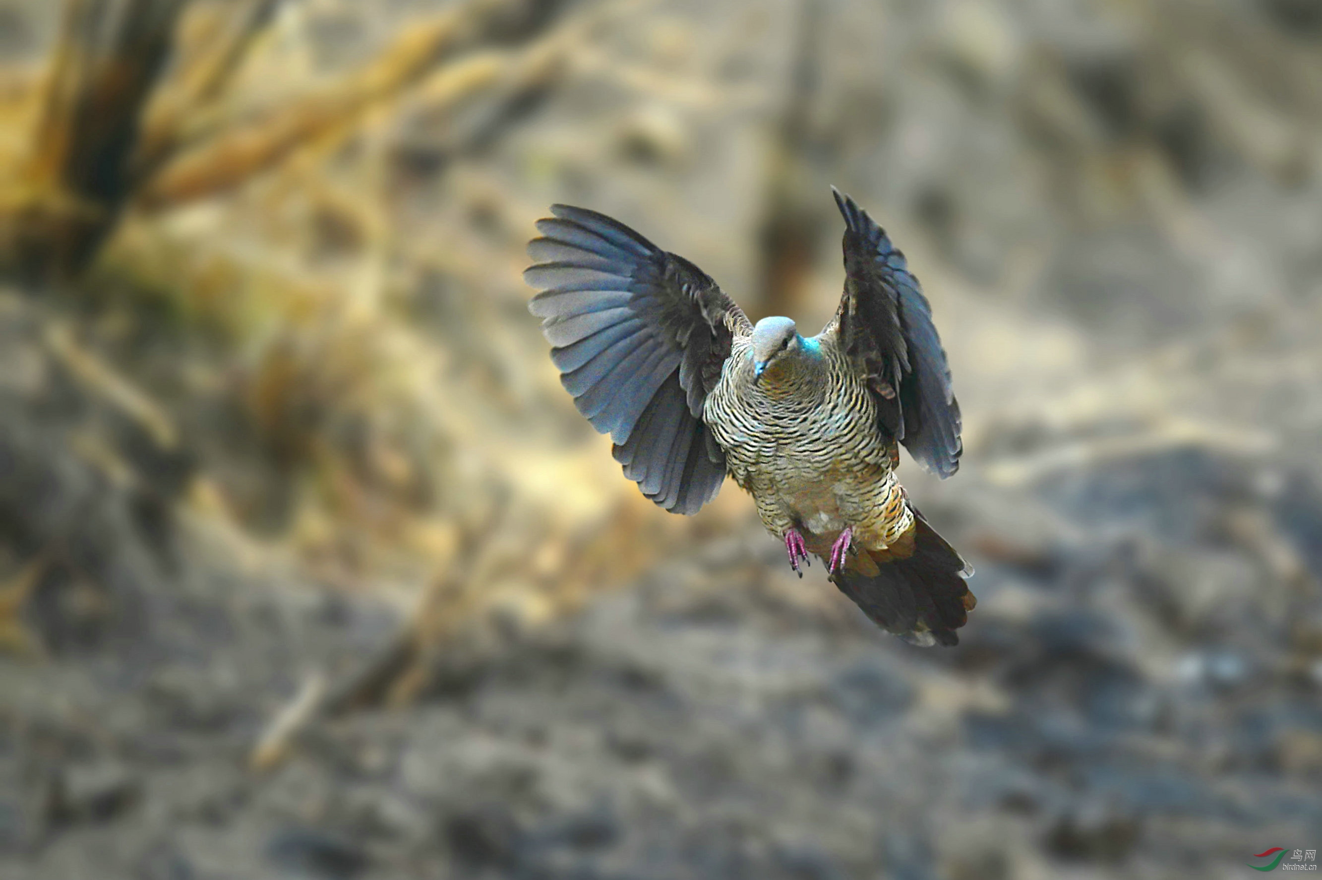 �����Ͼ͸��������������ڣ������