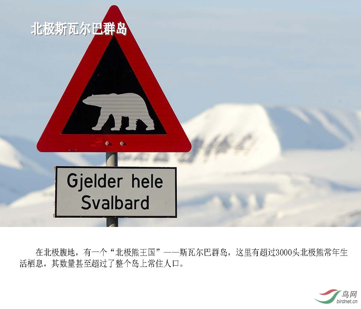 ��ʦ��-����˹�߶��ͷ������� ���� Ų��15��  ͬ�а�(1)_ҳ��_09.jpg