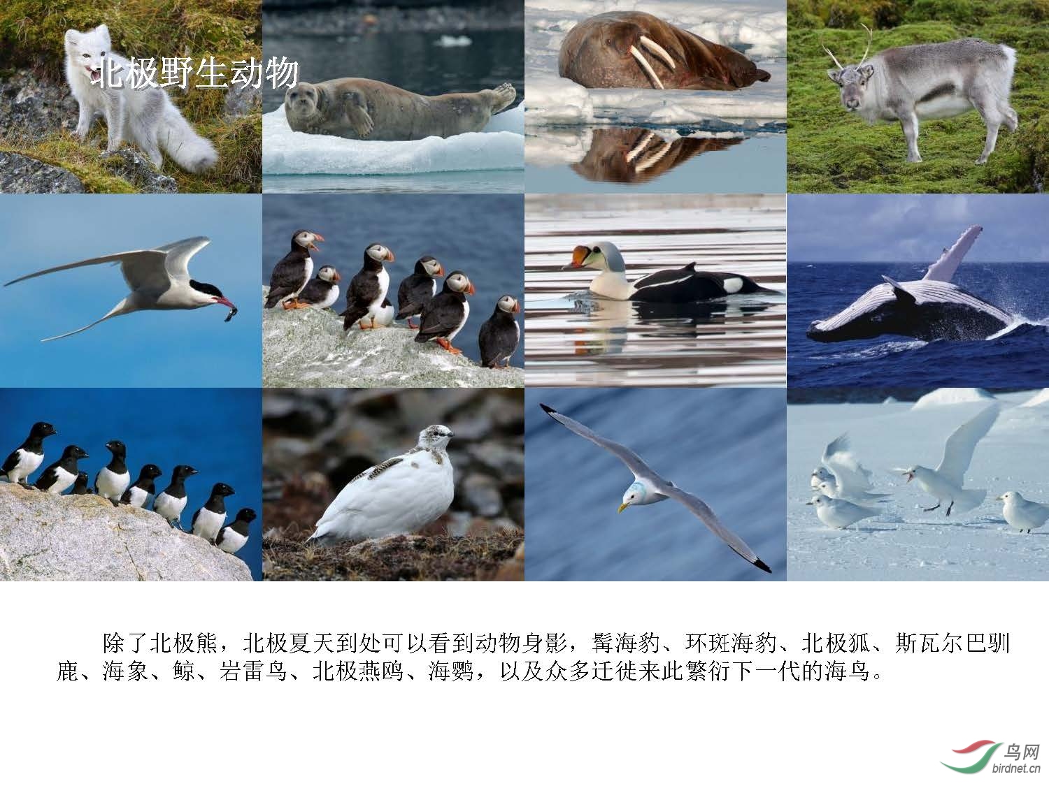 ��ʦ��-����˹�߶��ͷ������� ���� Ų��15��  ͬ�а�(1)_ҳ��_12.jpg