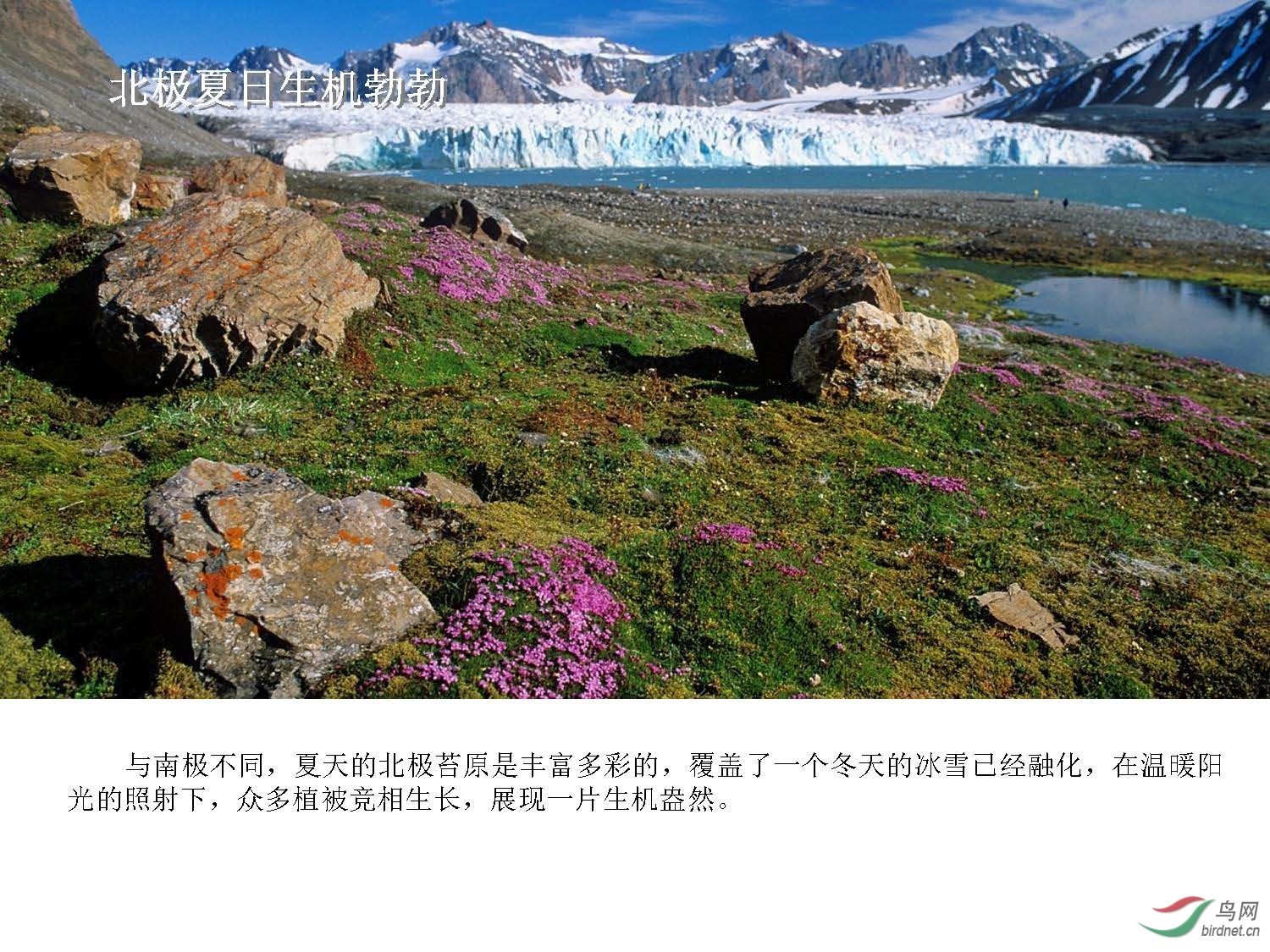 ��ʦ��-����˹�߶��ͷ������� ���� Ų��15��  ͬ�а�(1)_ҳ��_15.jpg