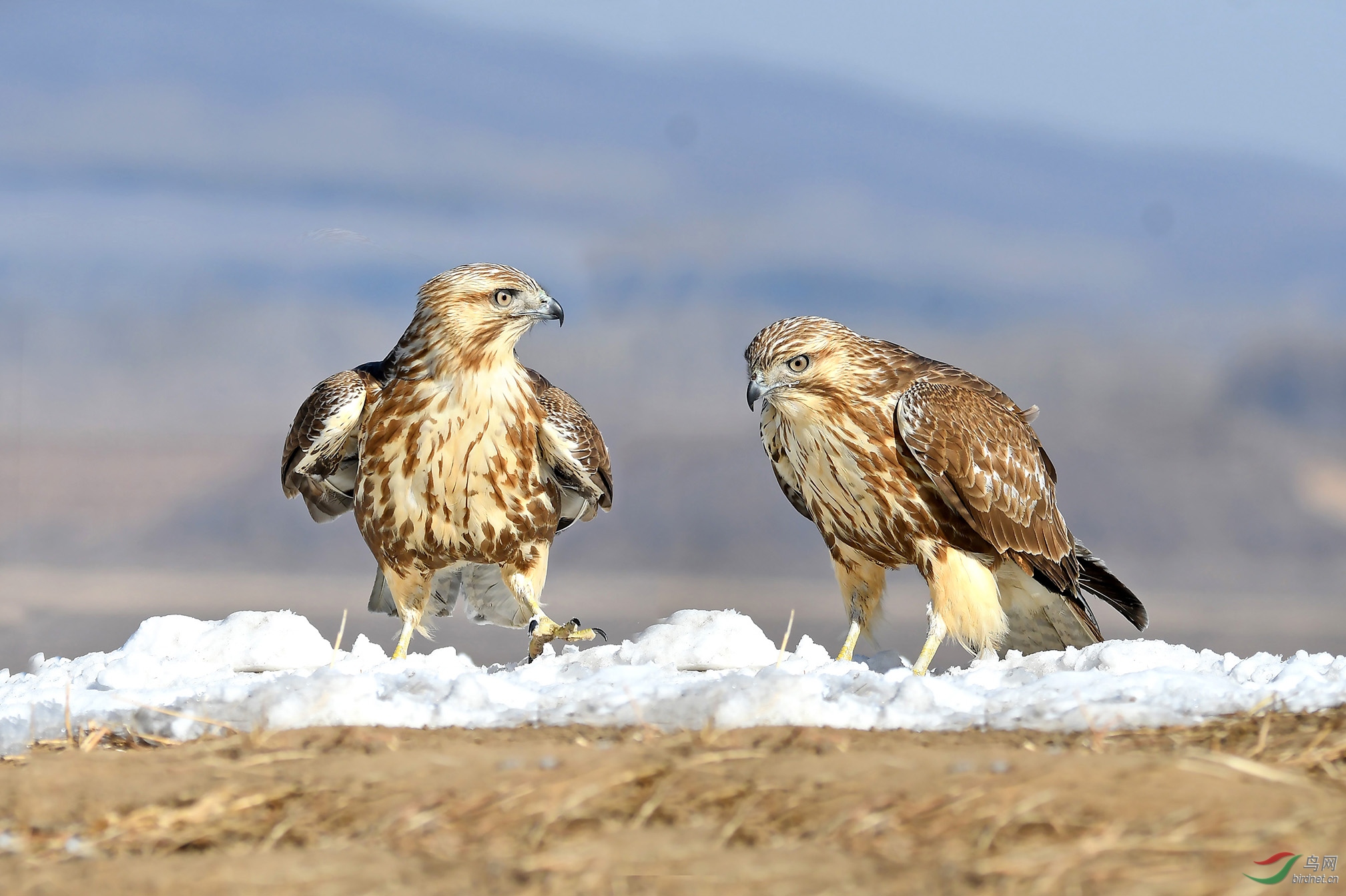 6.�ϴ�����ͨ��