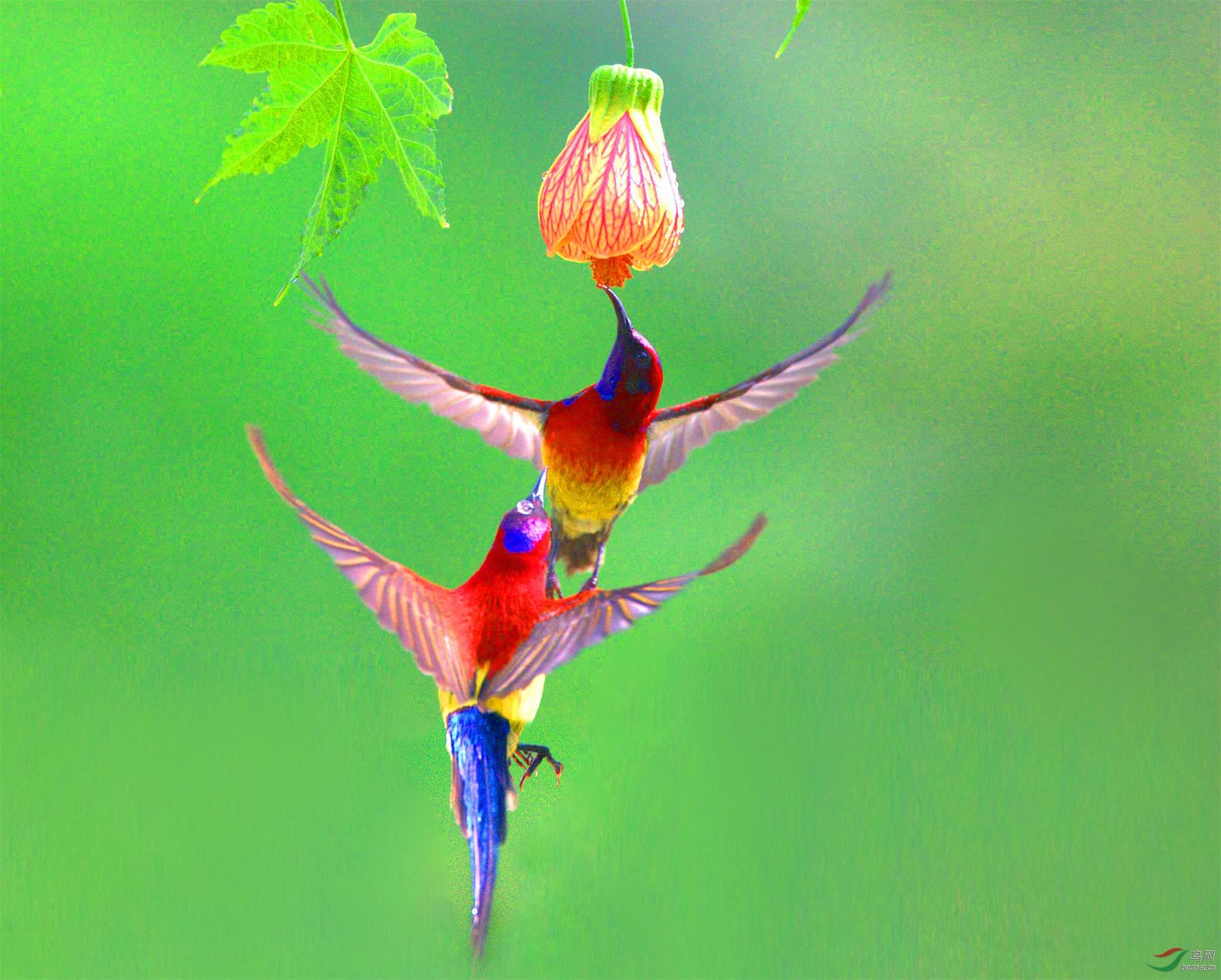 QQ图片20180619131547--_看图�