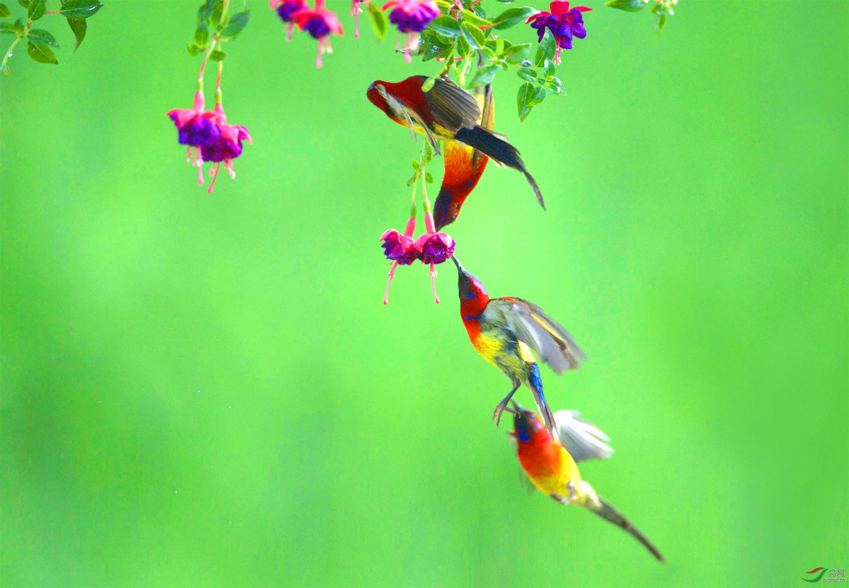 QQ图片20180619111822_看图�