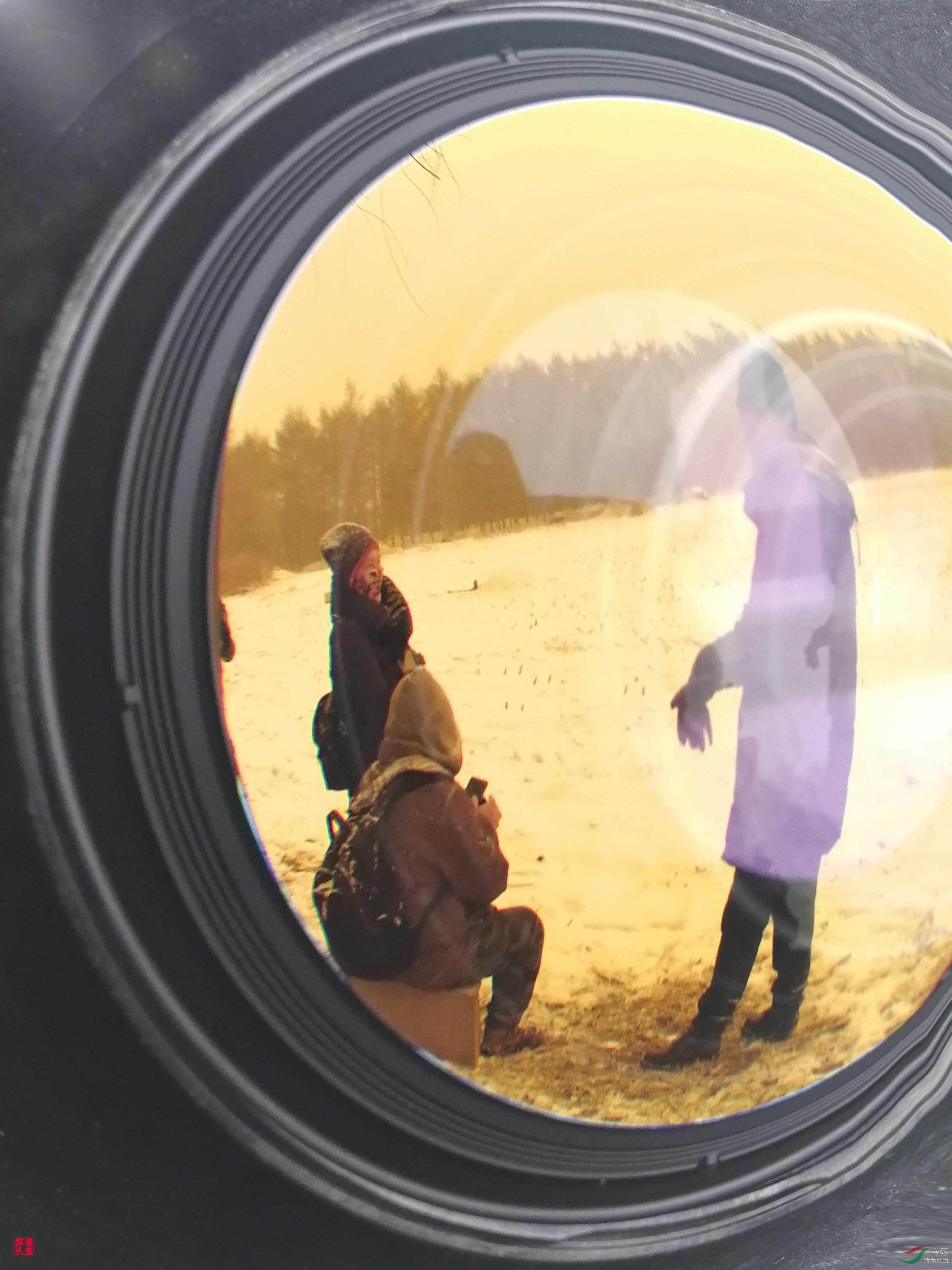 ����ͷ��Ĺ��¡�