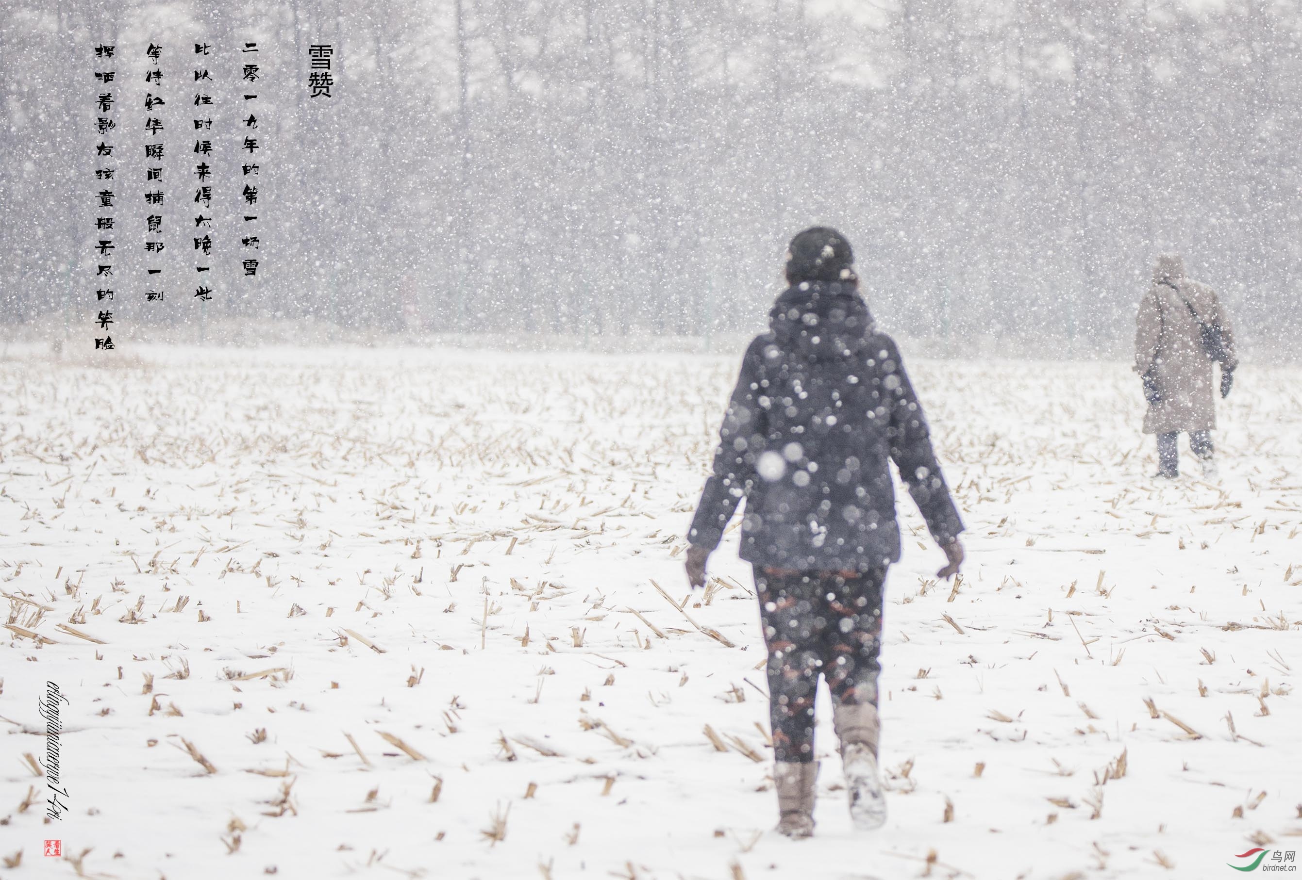 ��ѩ���С�