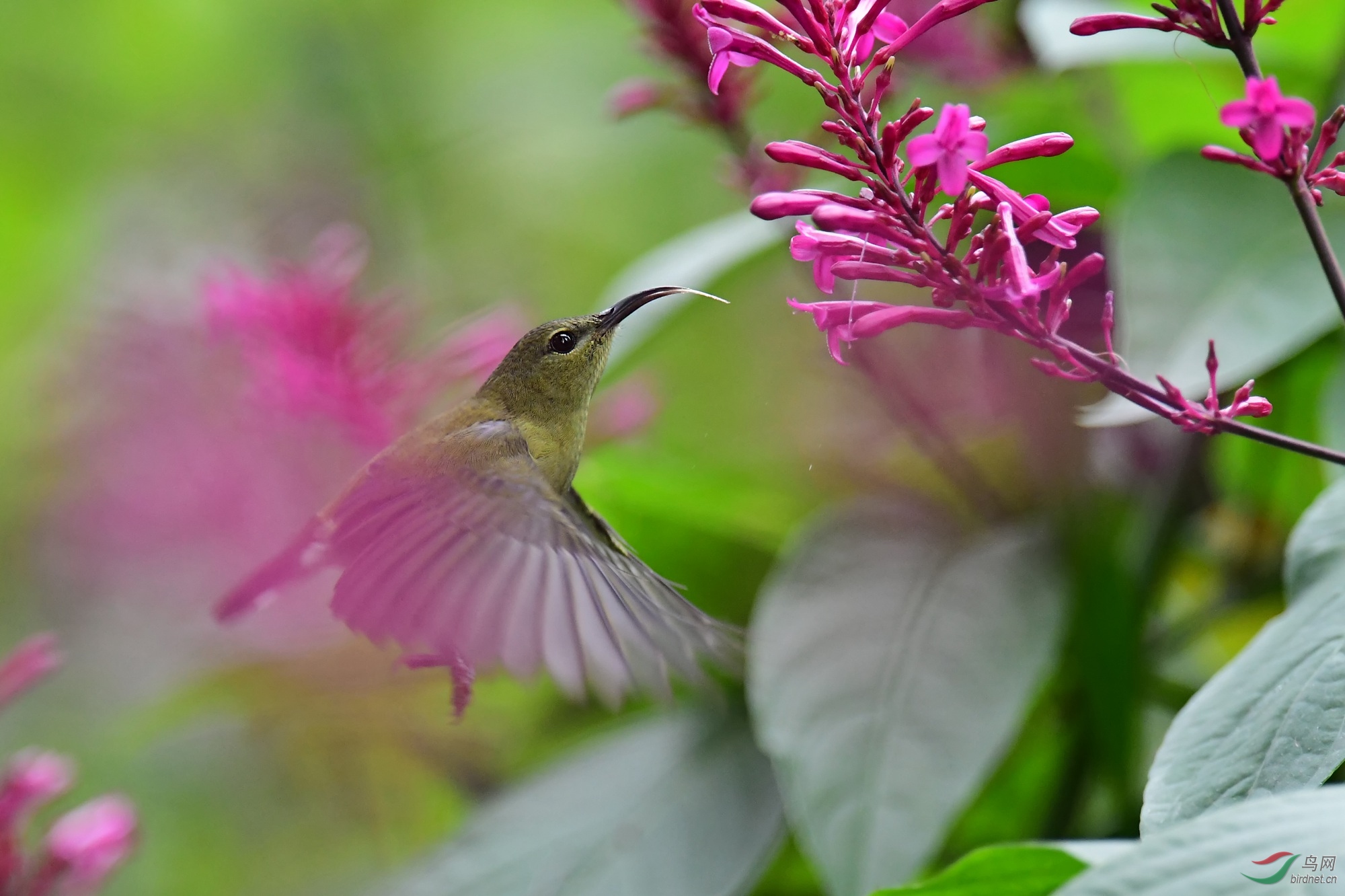 DSC_7722_����.jpg