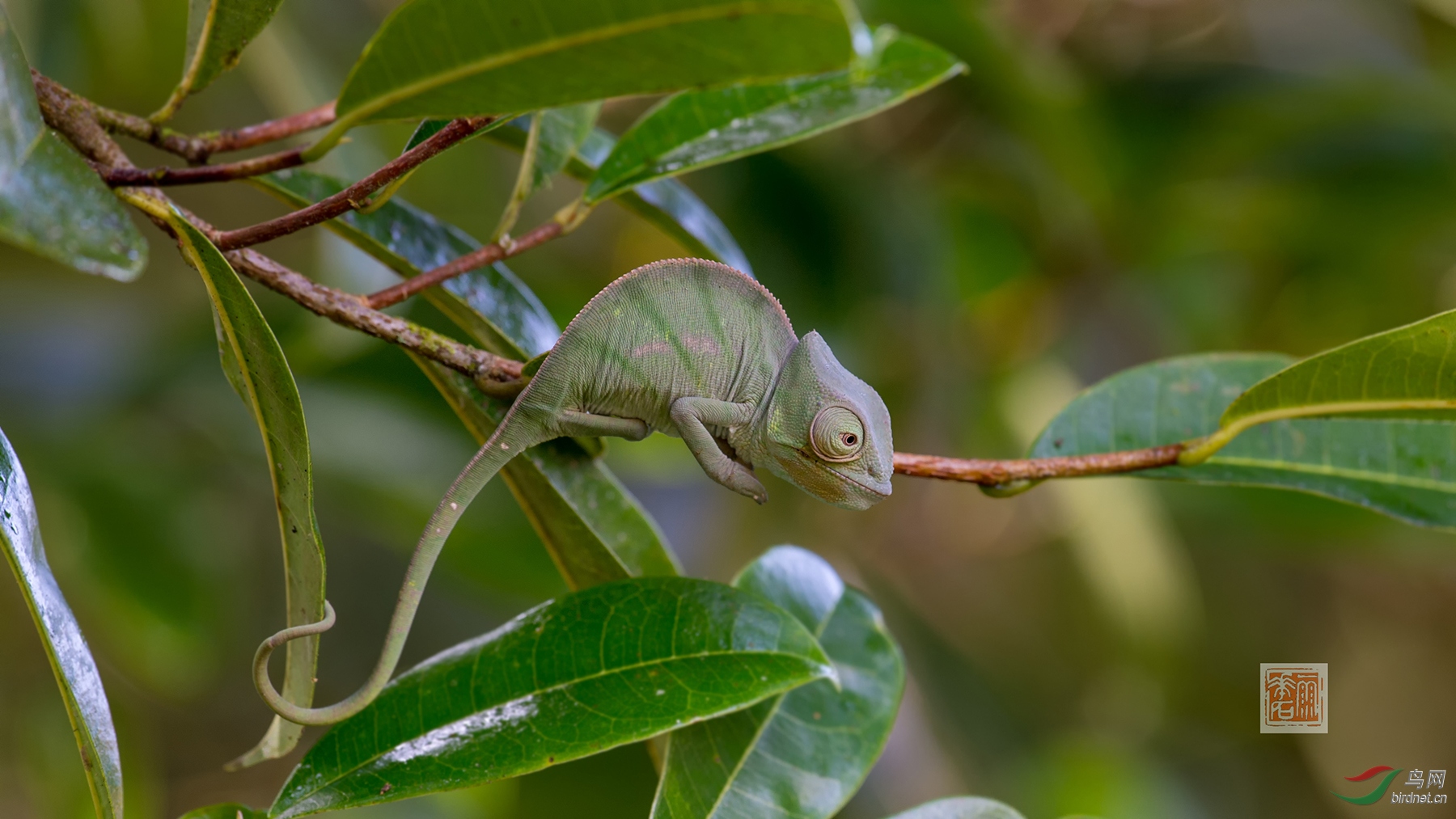 ��ɫ�� ����.jpg