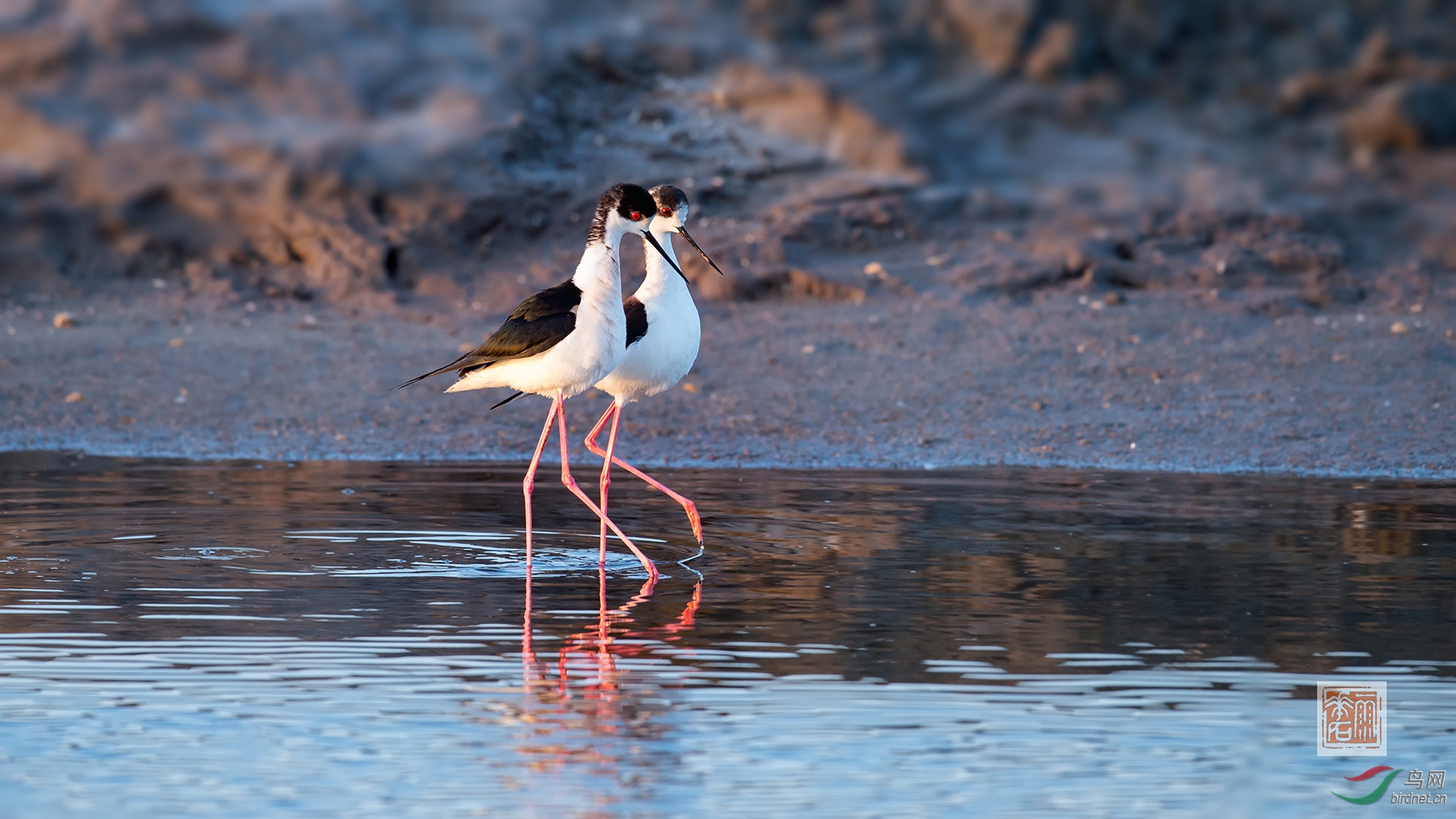 ������6 ����.jpg