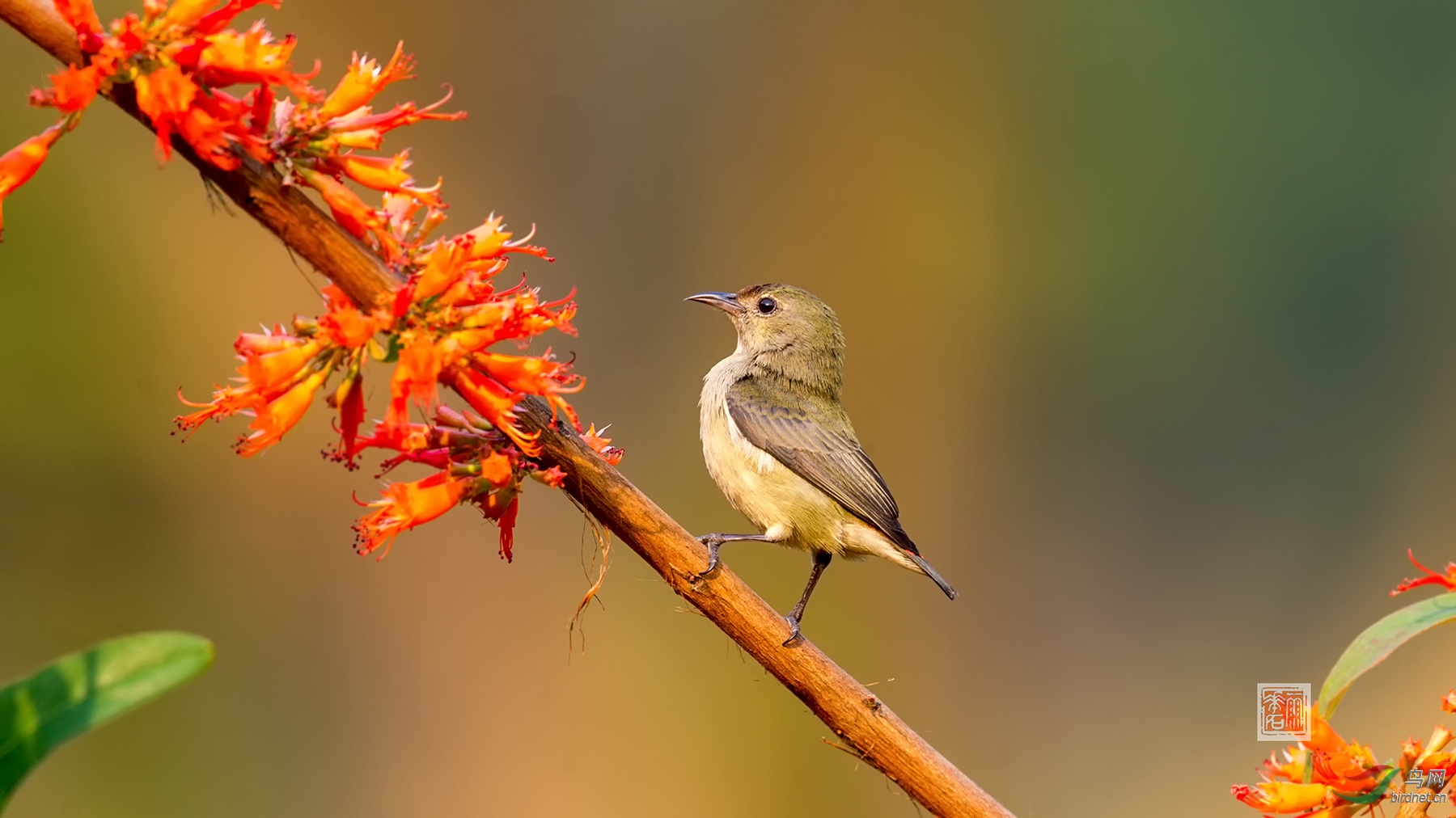 �챳�Ļ��� ����.jpg