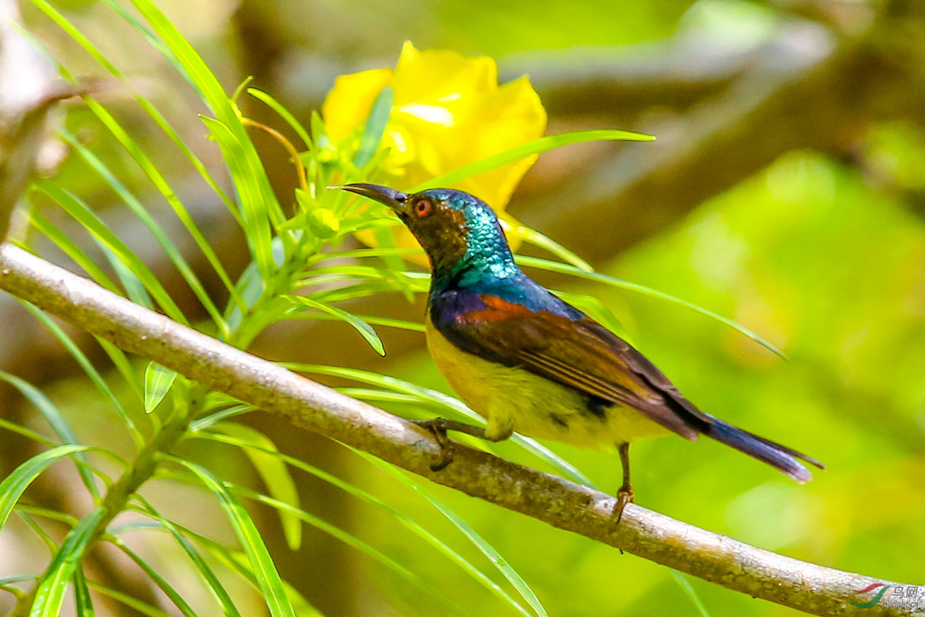 916A4253  ������_05.jpg