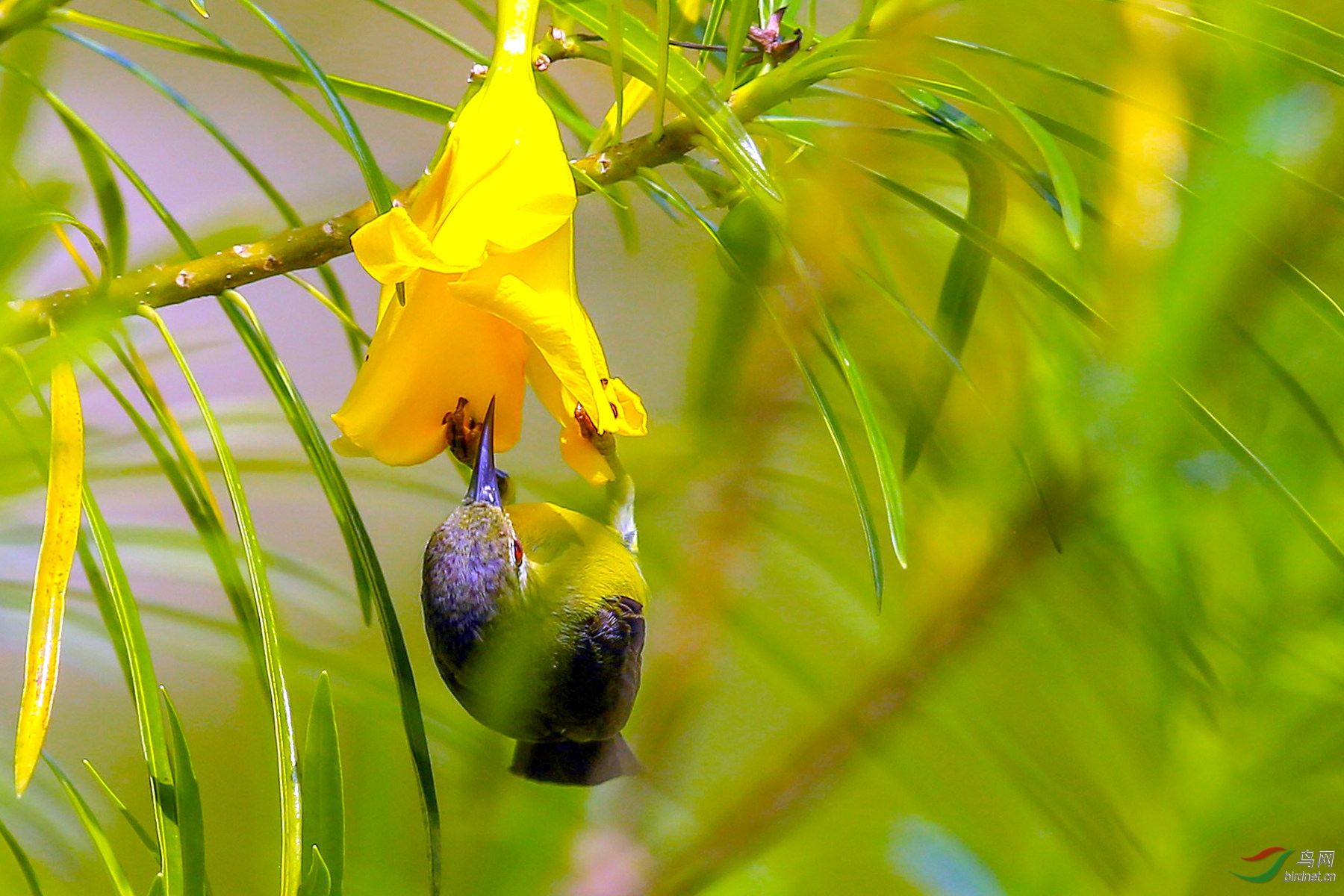 916A4264 ������_02.jpg