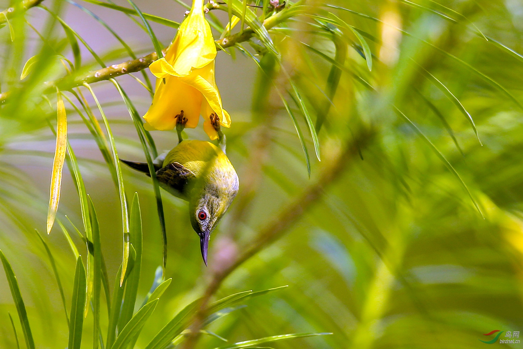 916A4269 ������_01.jpg