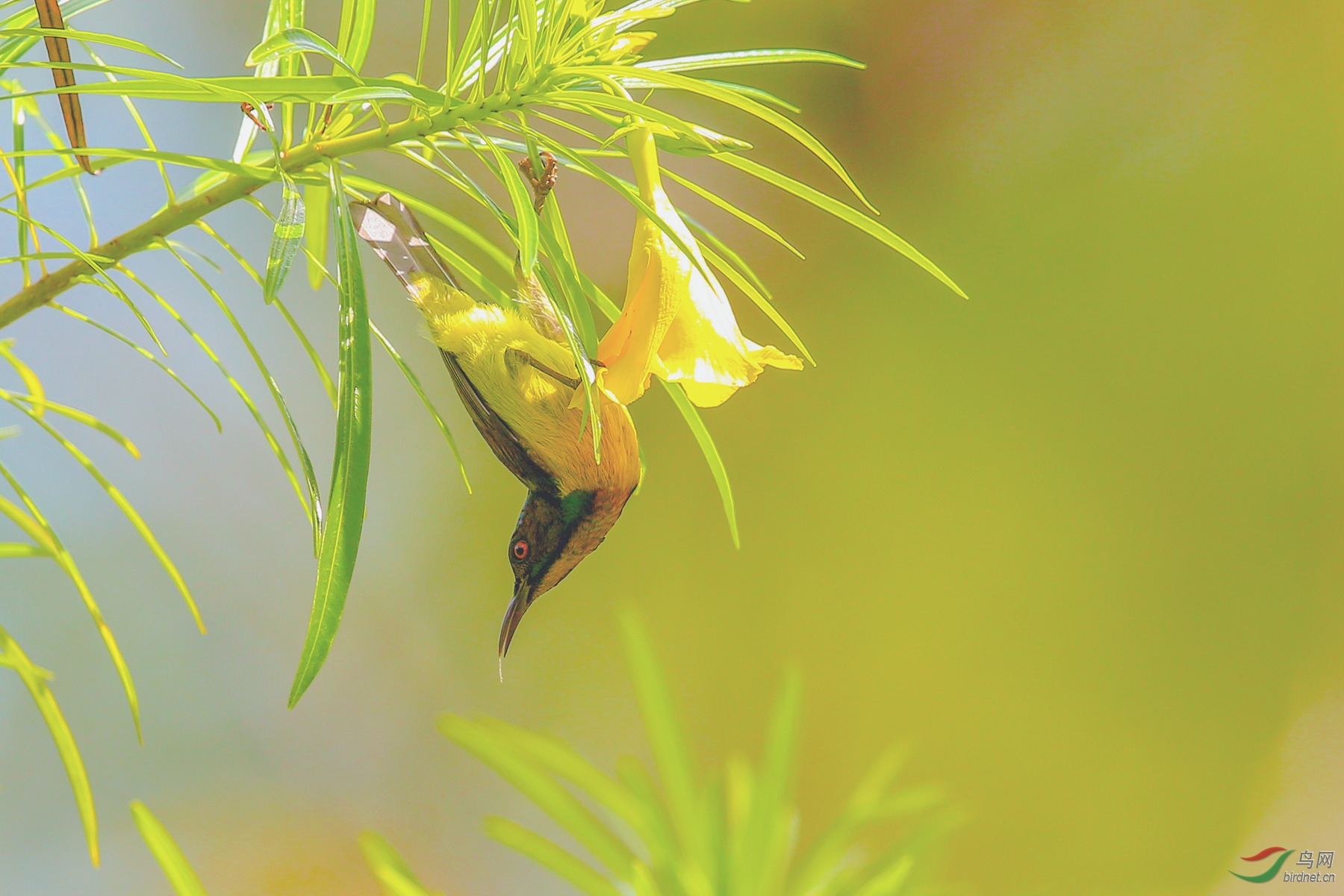 916A4245  ������_03.jpg