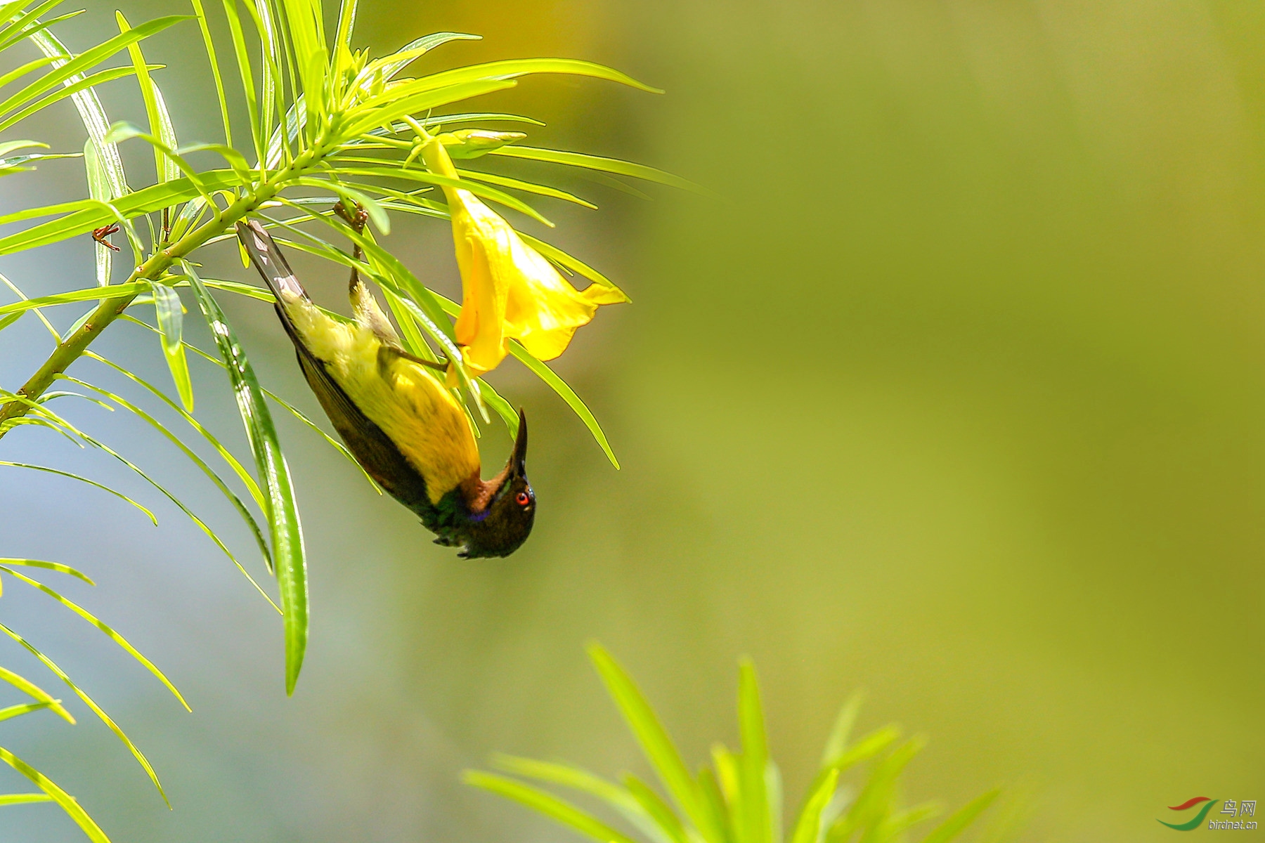 916A4243  ������_04_����_����.jpg