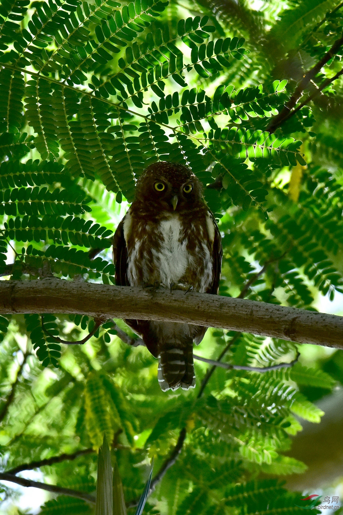 DSC_0400.JPG