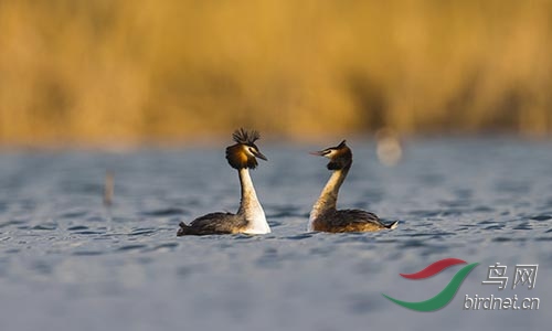ET2W0130.jpg