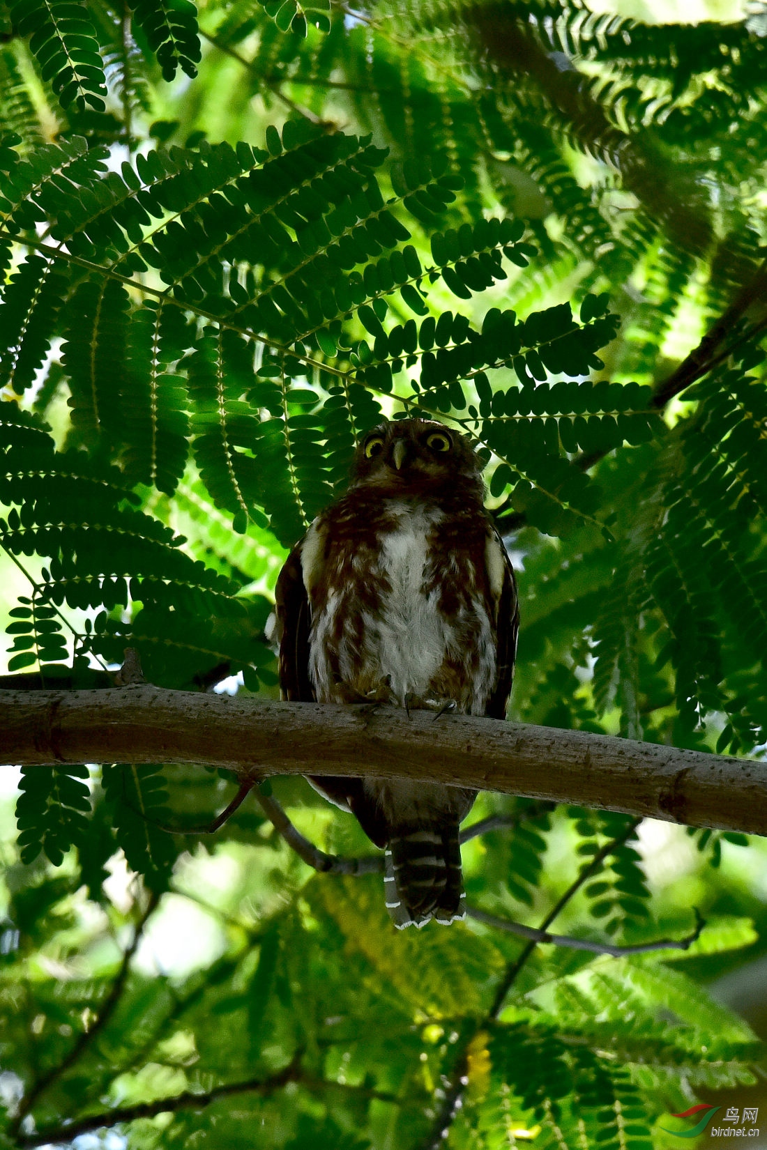 DSC_0402.JPG