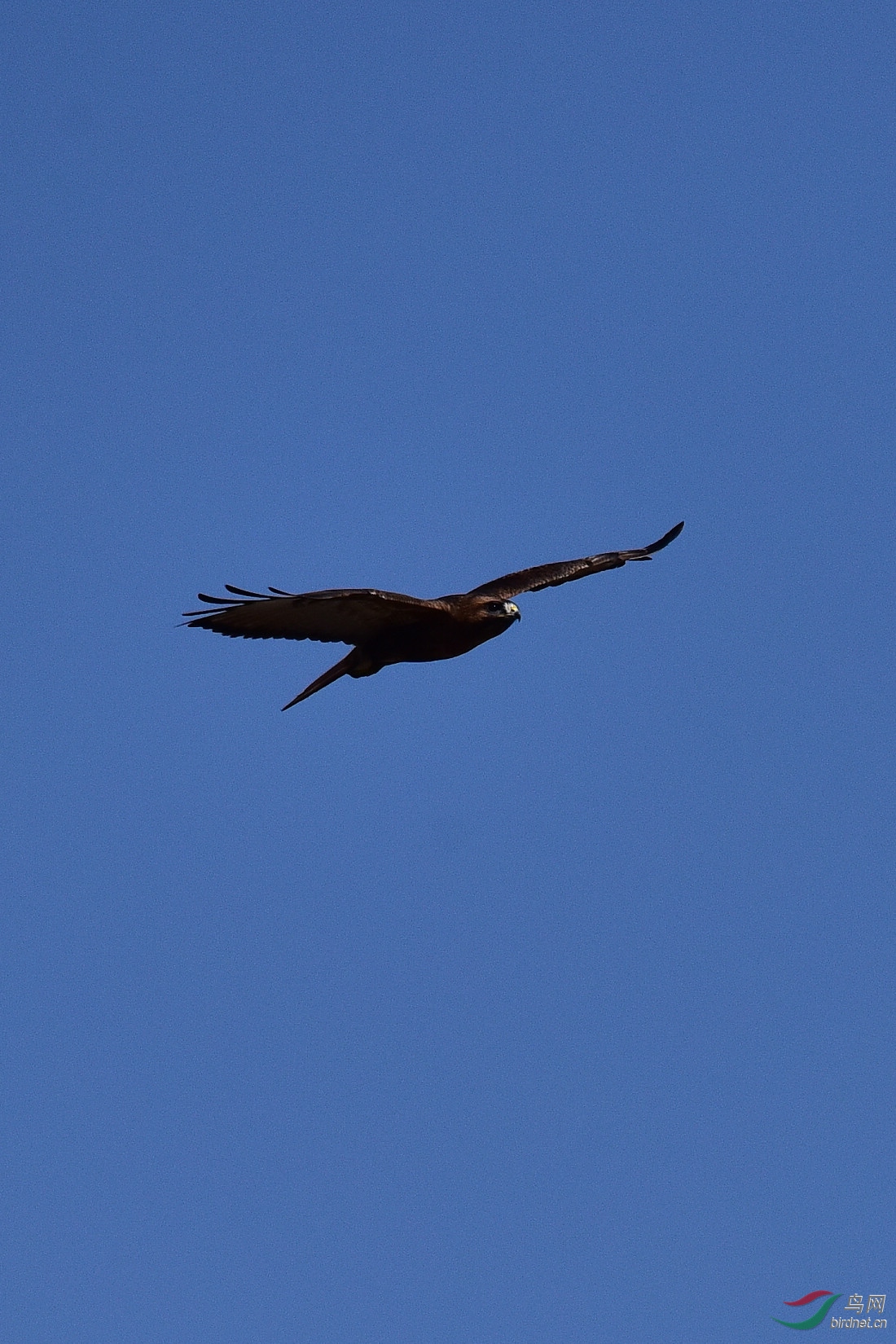DSC_0404.JPG
