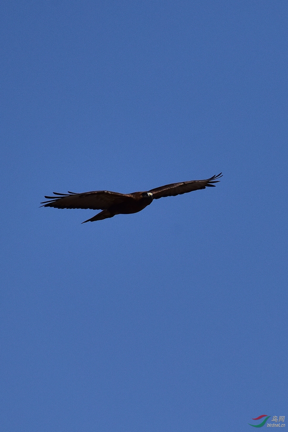 DSC_0405.JPG