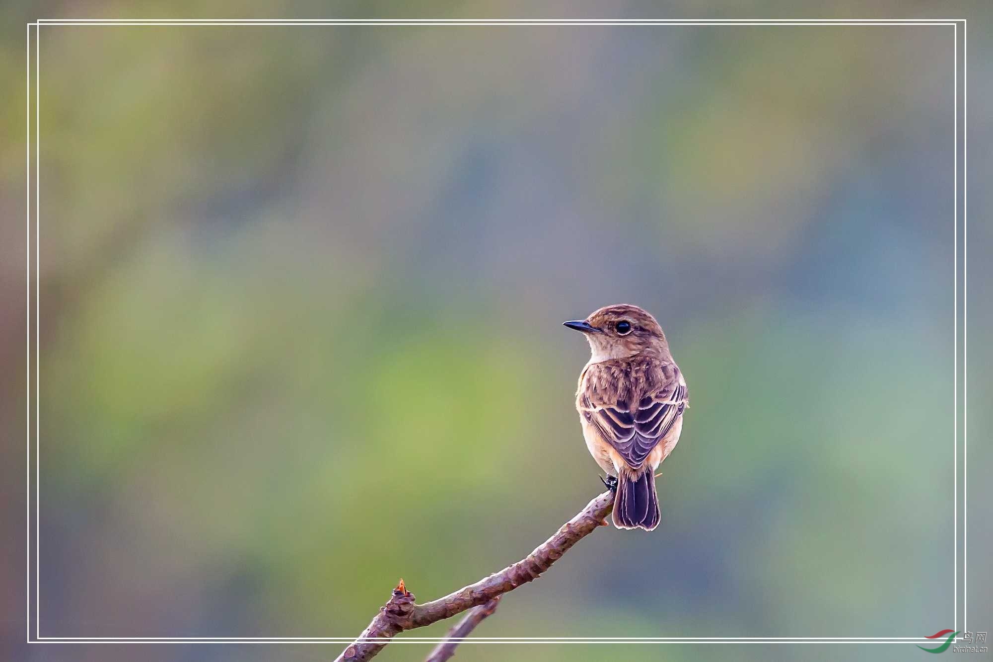 IMG_0547 ����.jpg