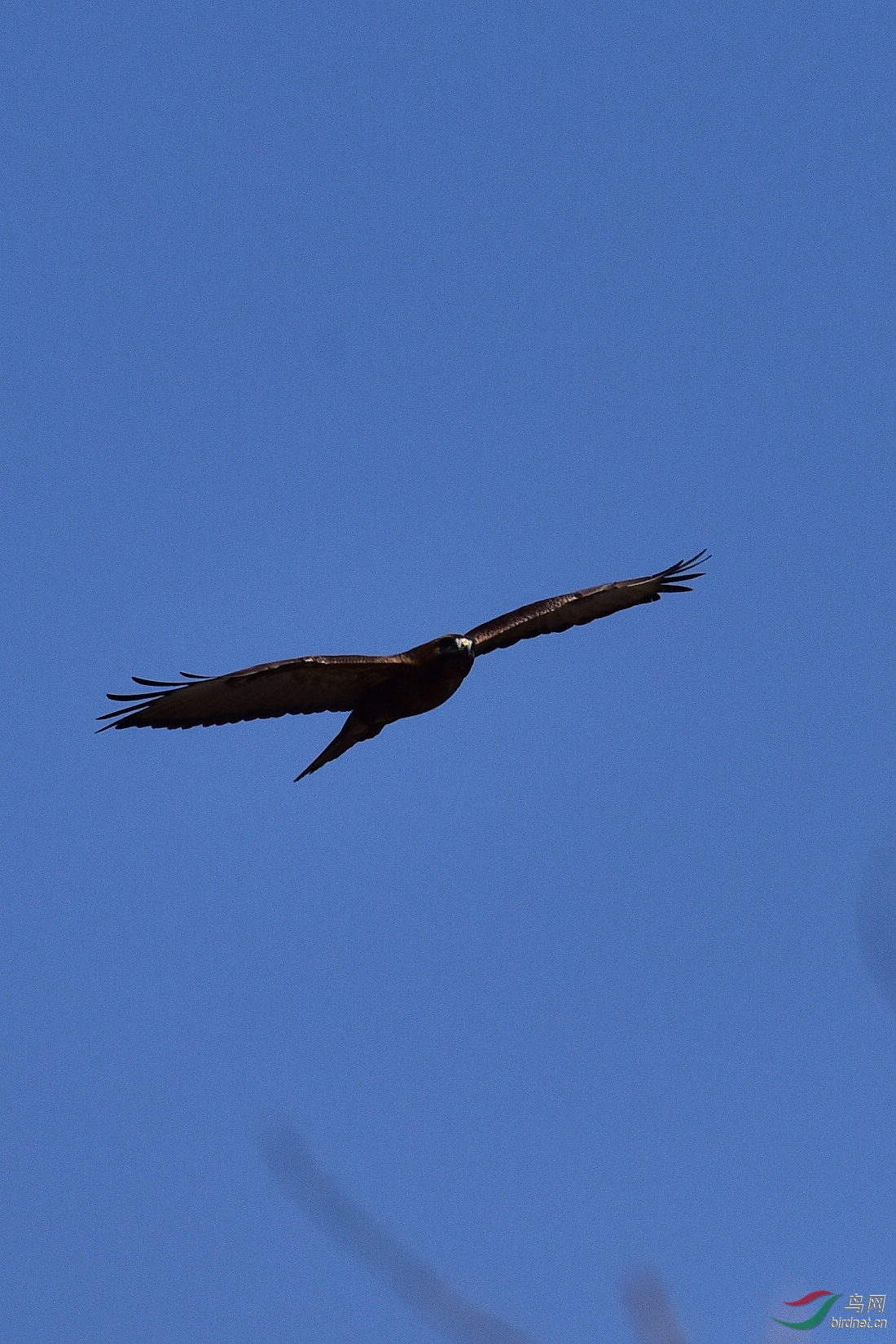 DSC_0406.JPG