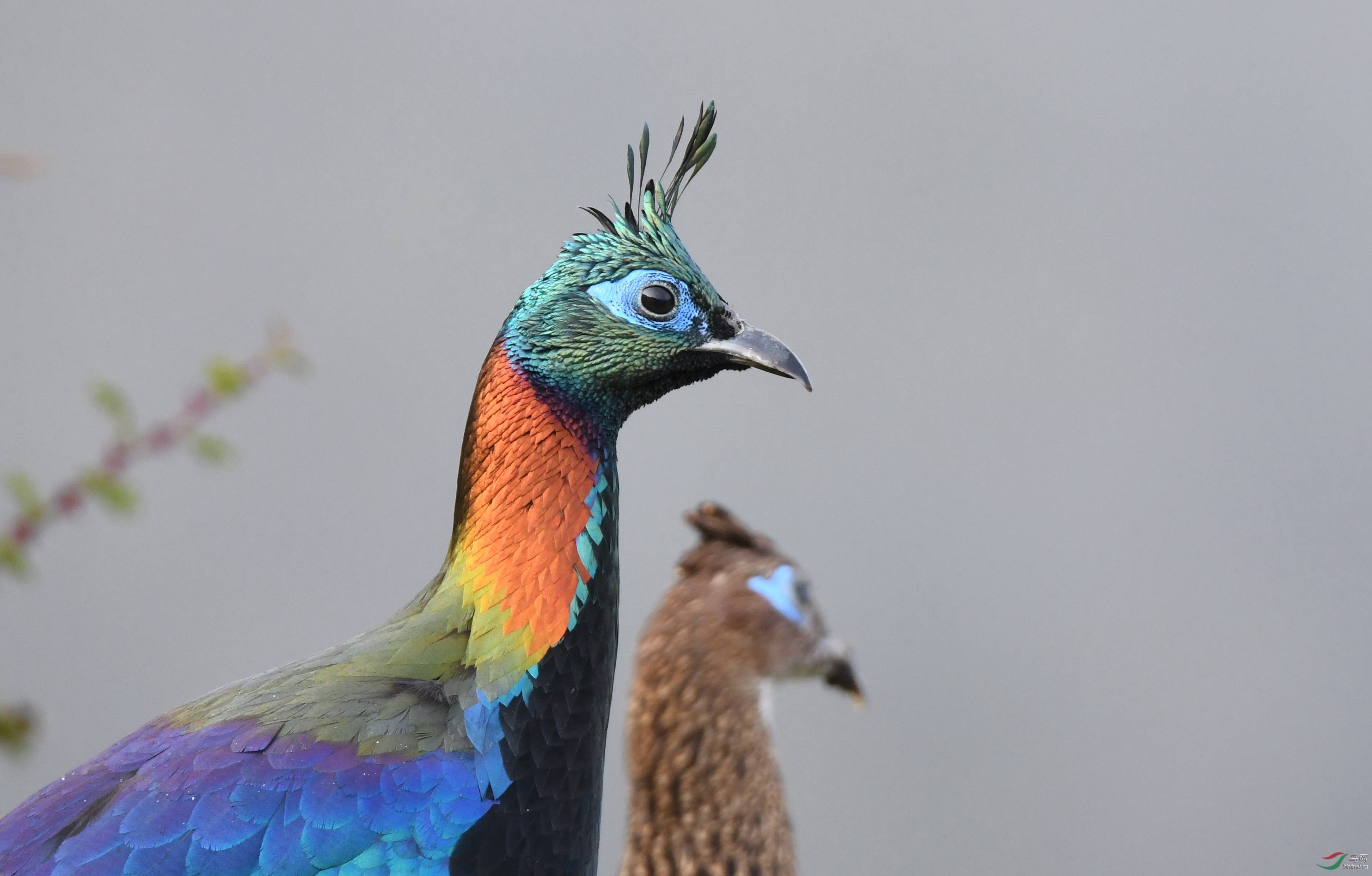 ��β���� ���ؿ�����