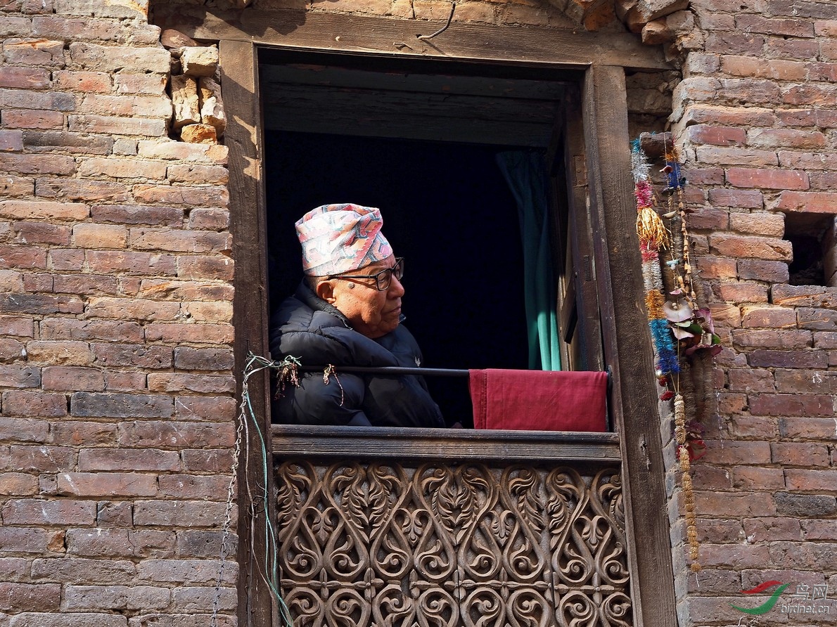 P1150123_����_DxO (����).jpg