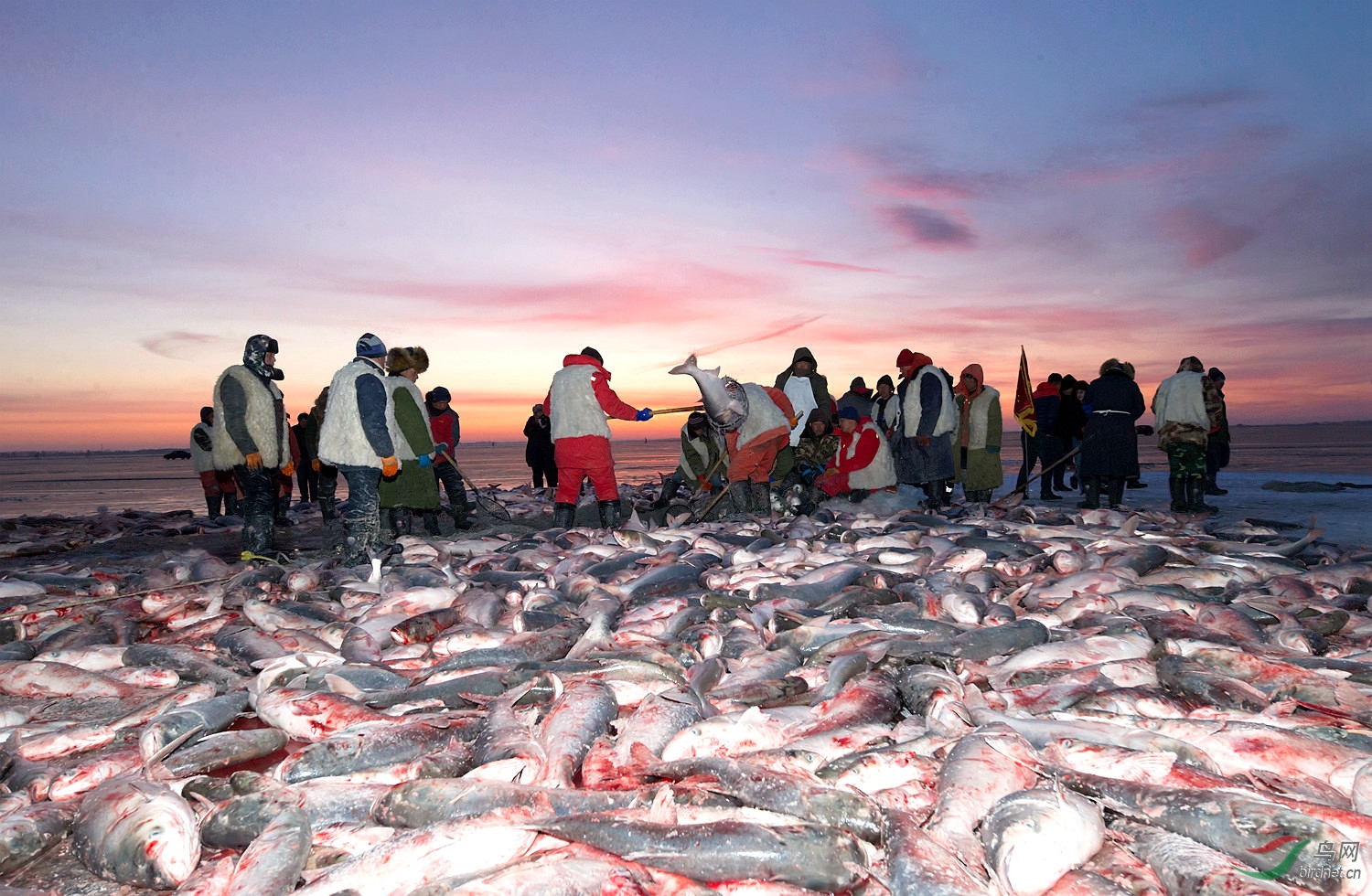 查干湖冬捕