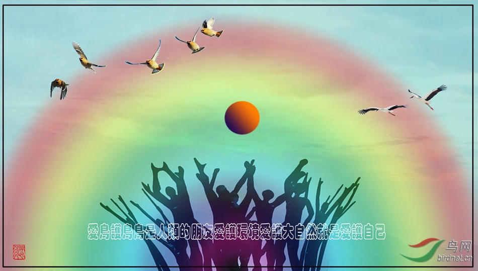 ��洴��5 ���� ��������.jpg