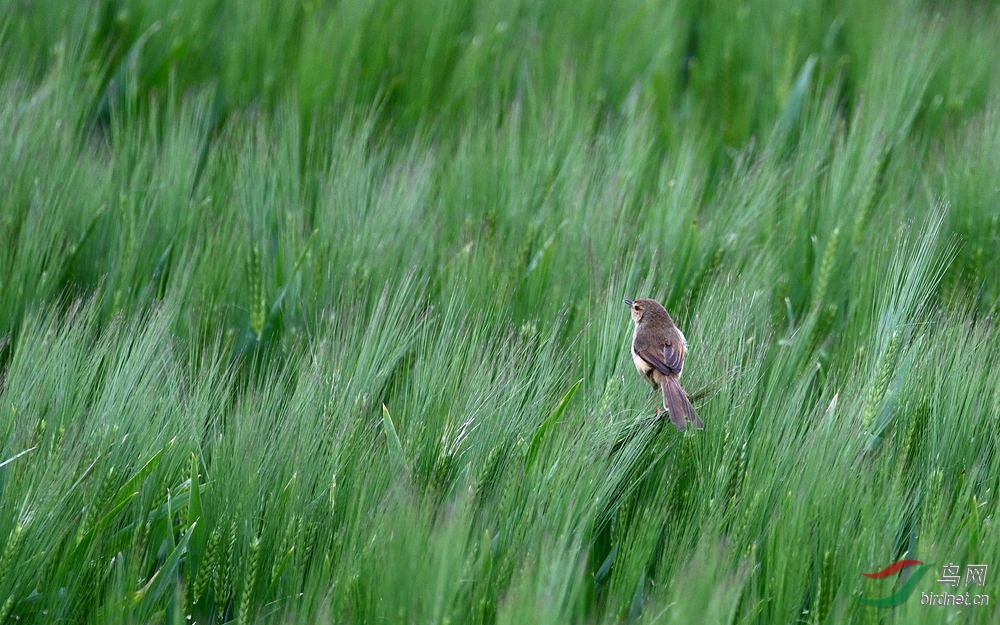 �Ϲ�����