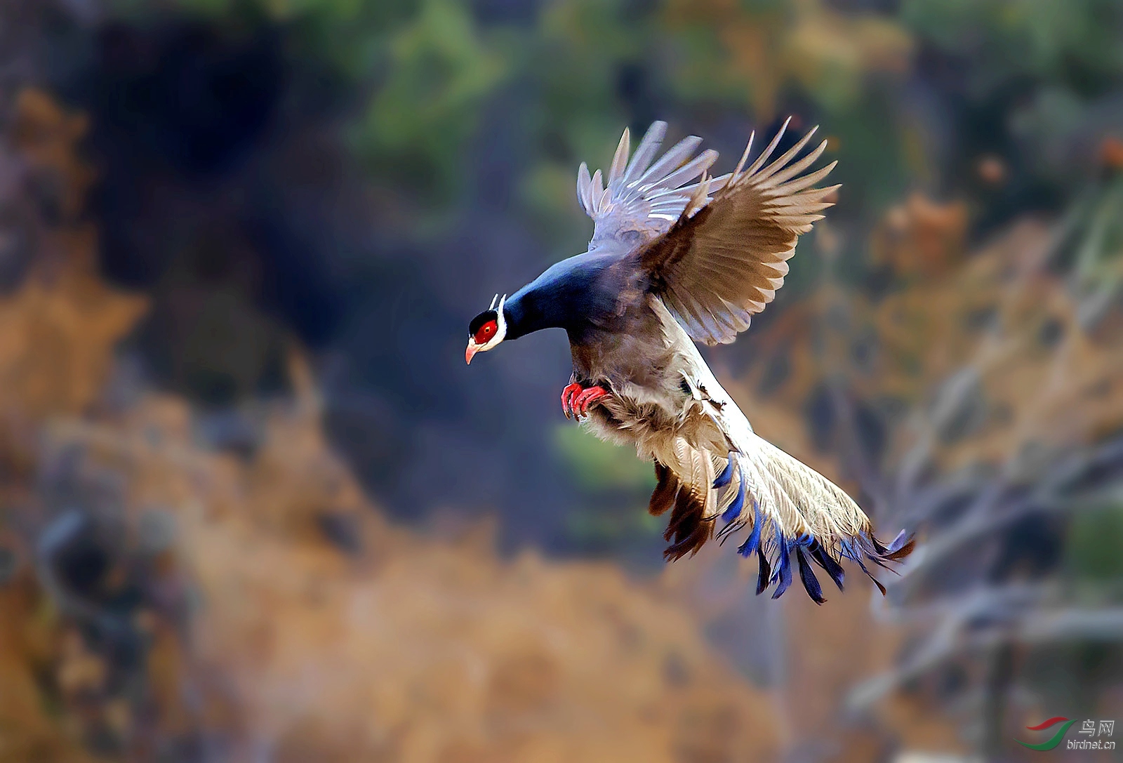 DSC_3264_���� (2)_����_����.jpg