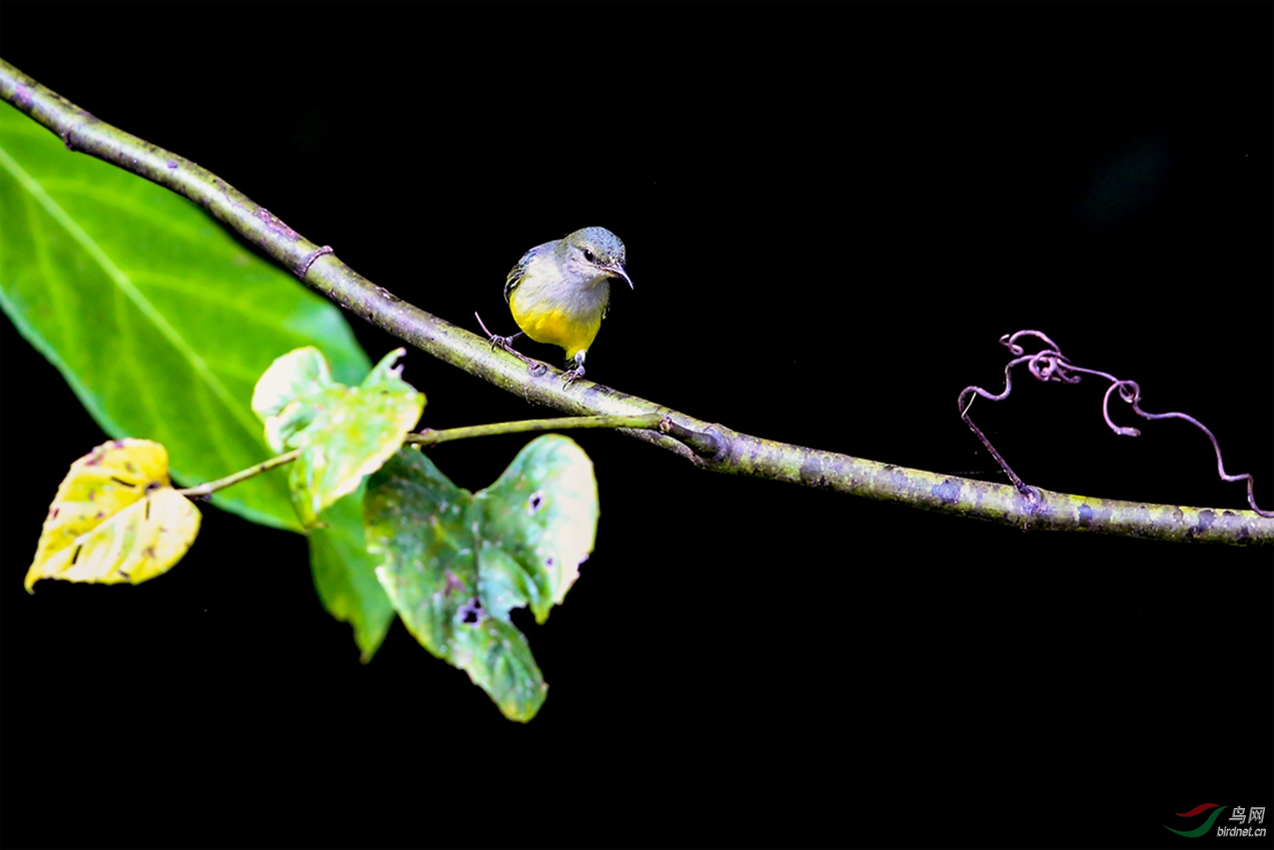 916A0288  01_����.jpg