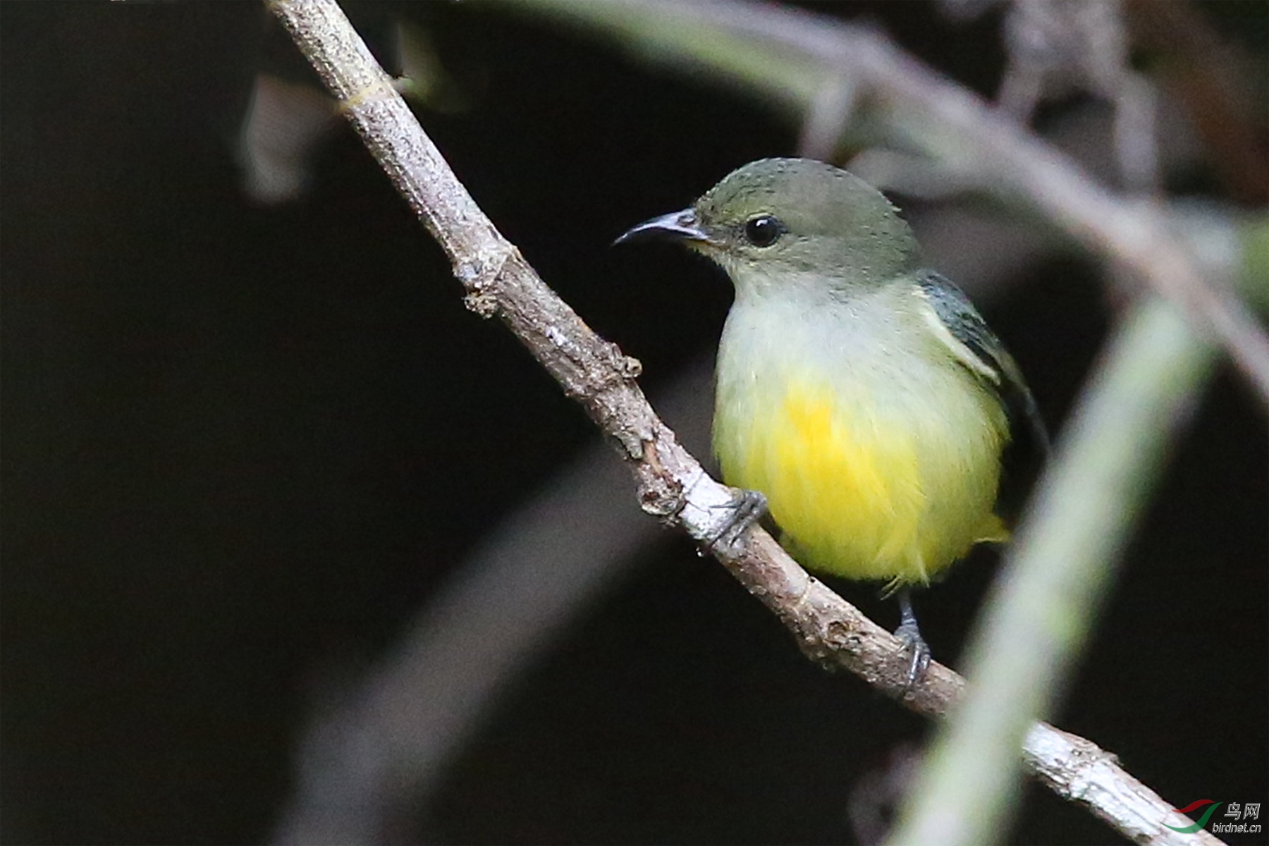 916A0175  01_����.jpg