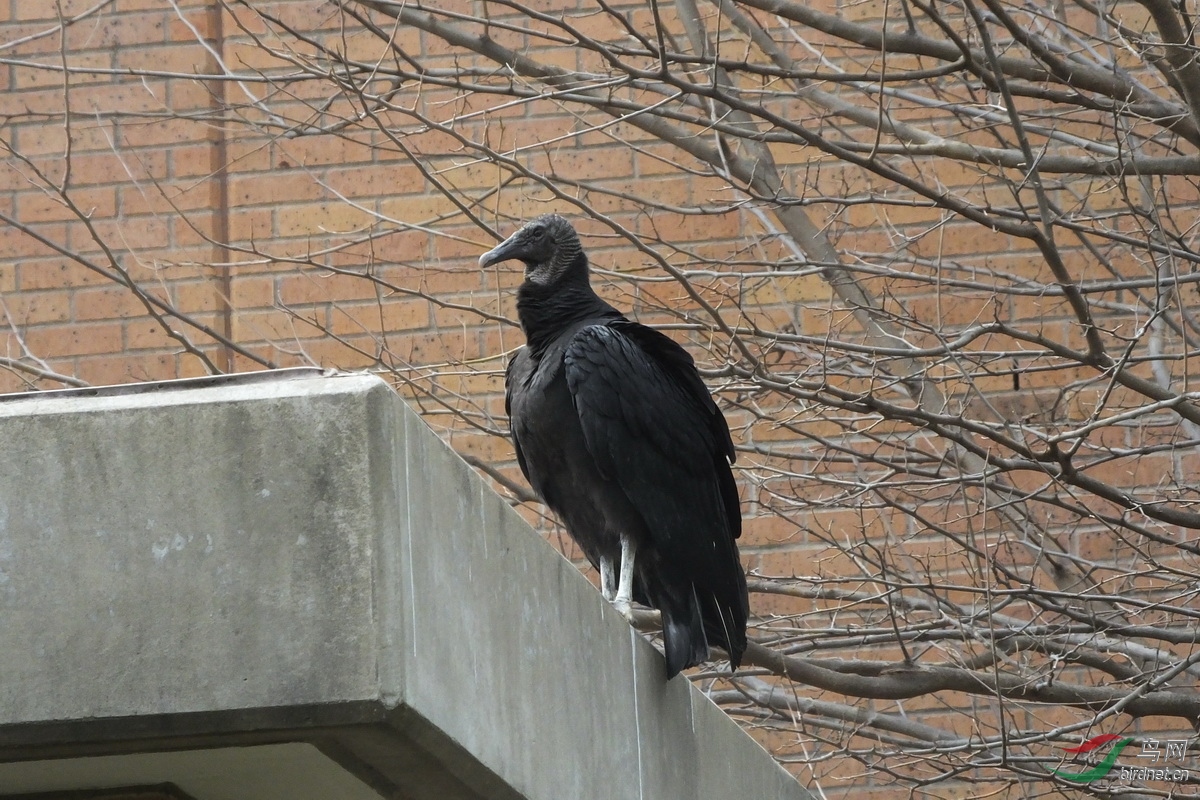 1-��������