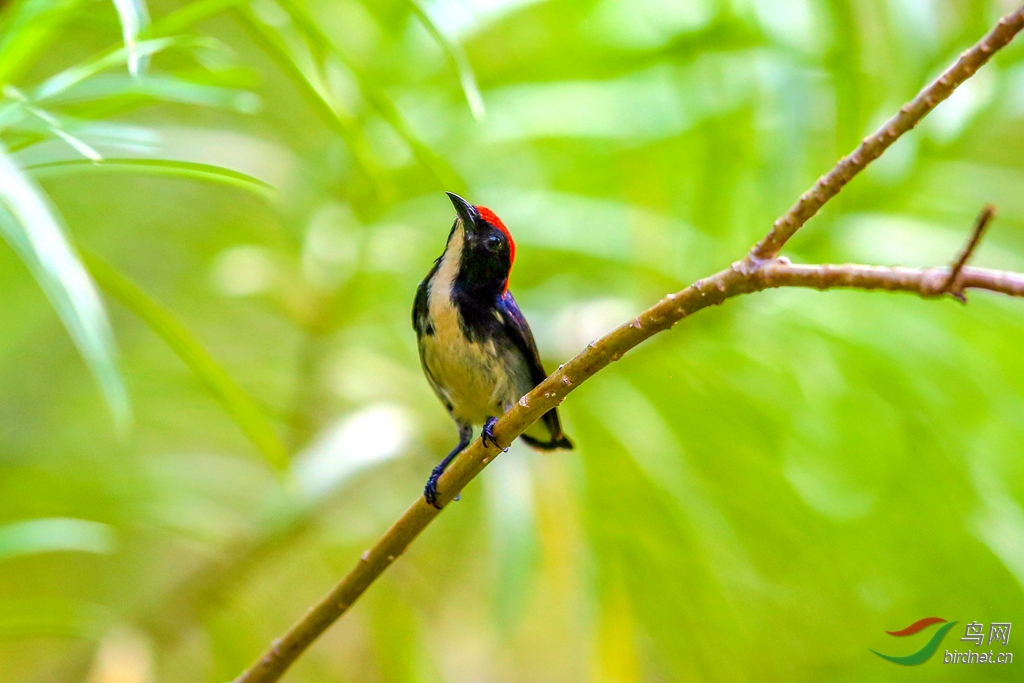 916A7628  �챴�Ļ�����_����.jpg