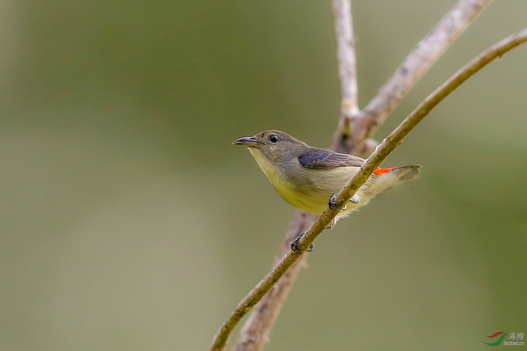 916A7660  �챴�Ļ��������_����.jpg