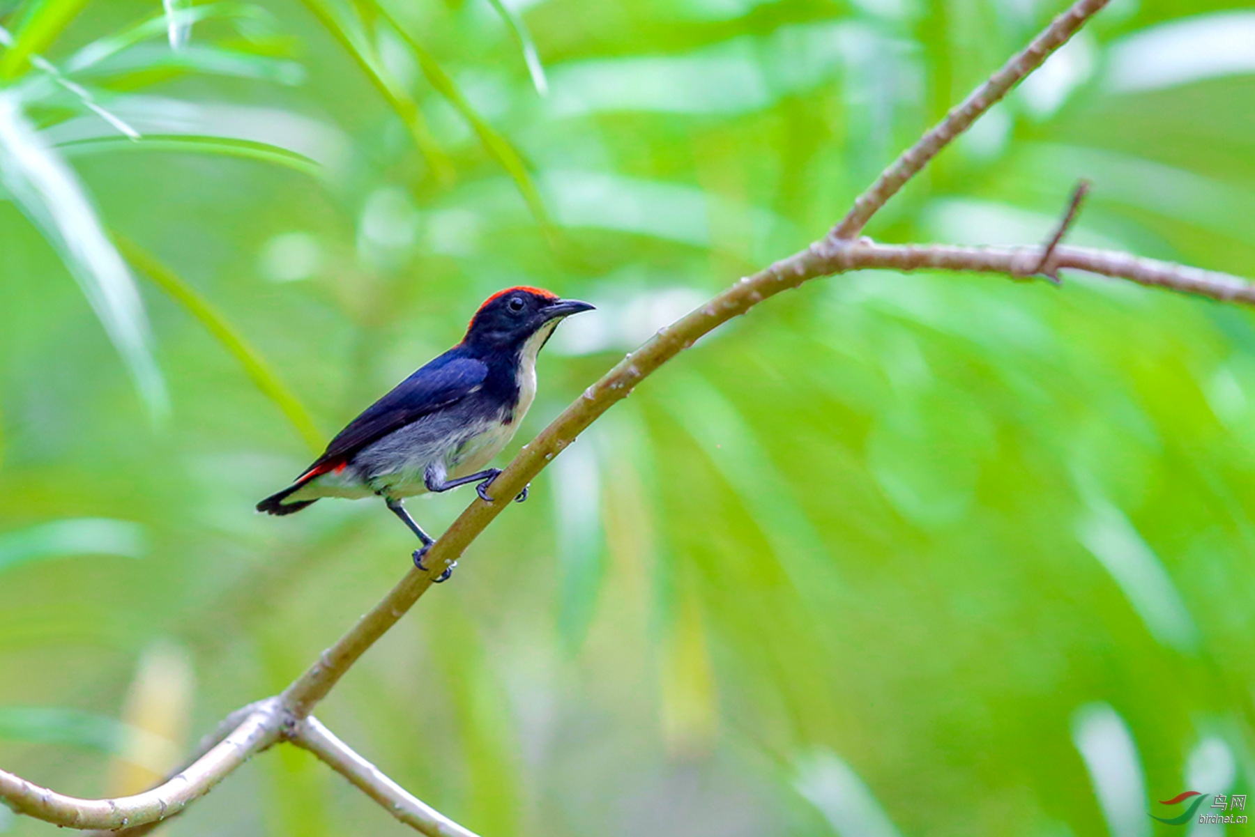 916A7626  �챴�Ļ�����_����.jpg