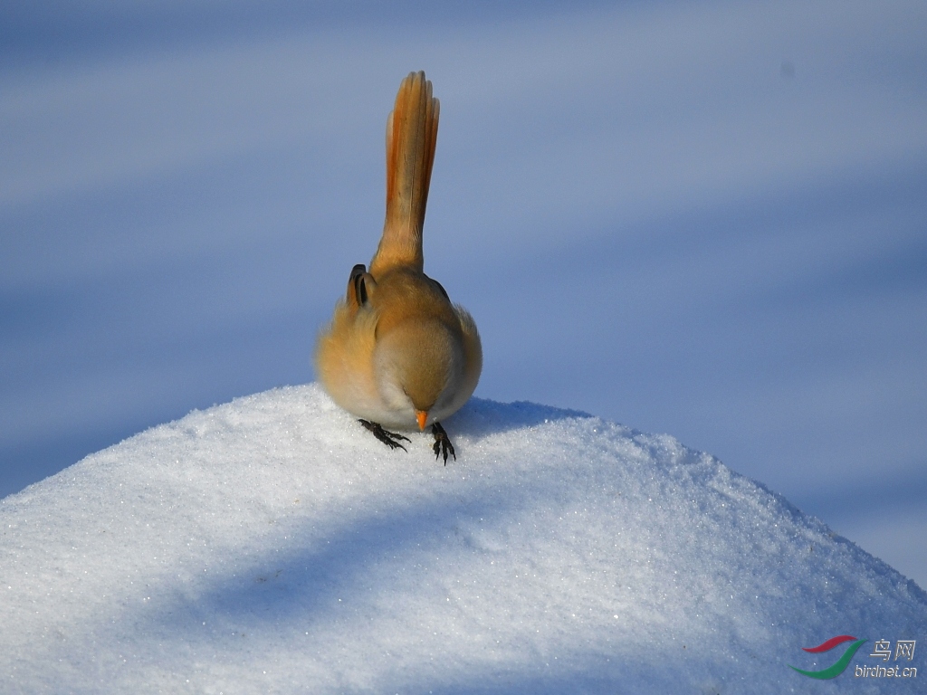 DSC_9605_��ͼ��.jpg