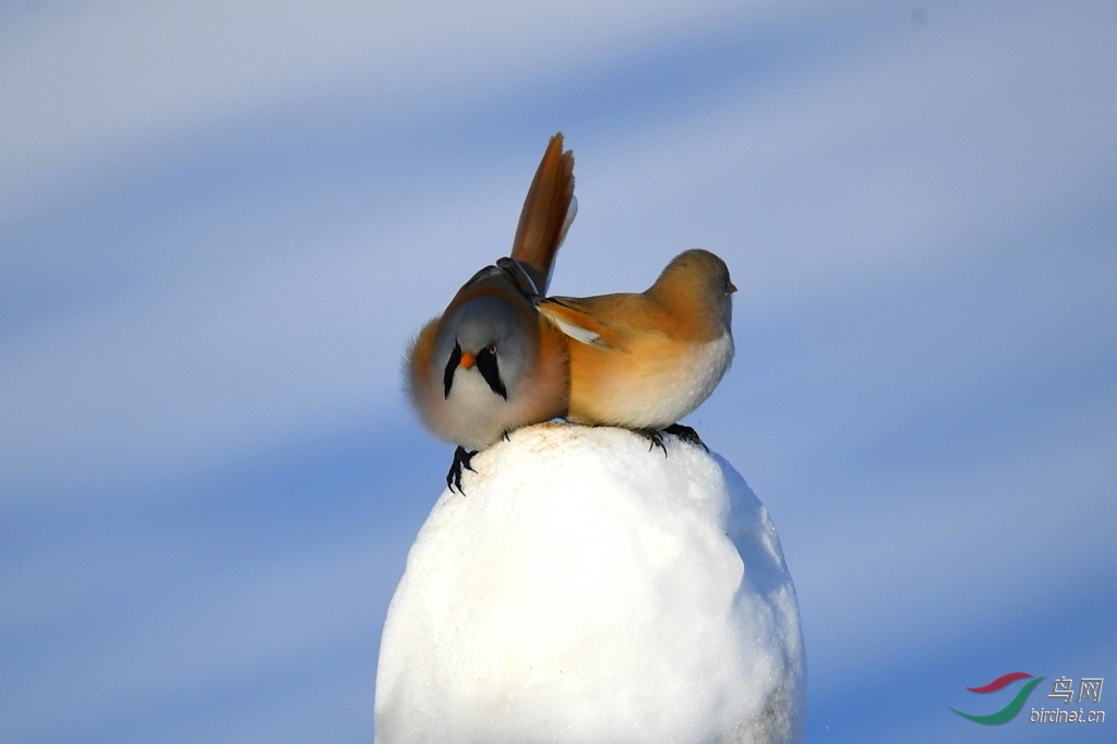 DSC_9054_��ͼ��.jpg
